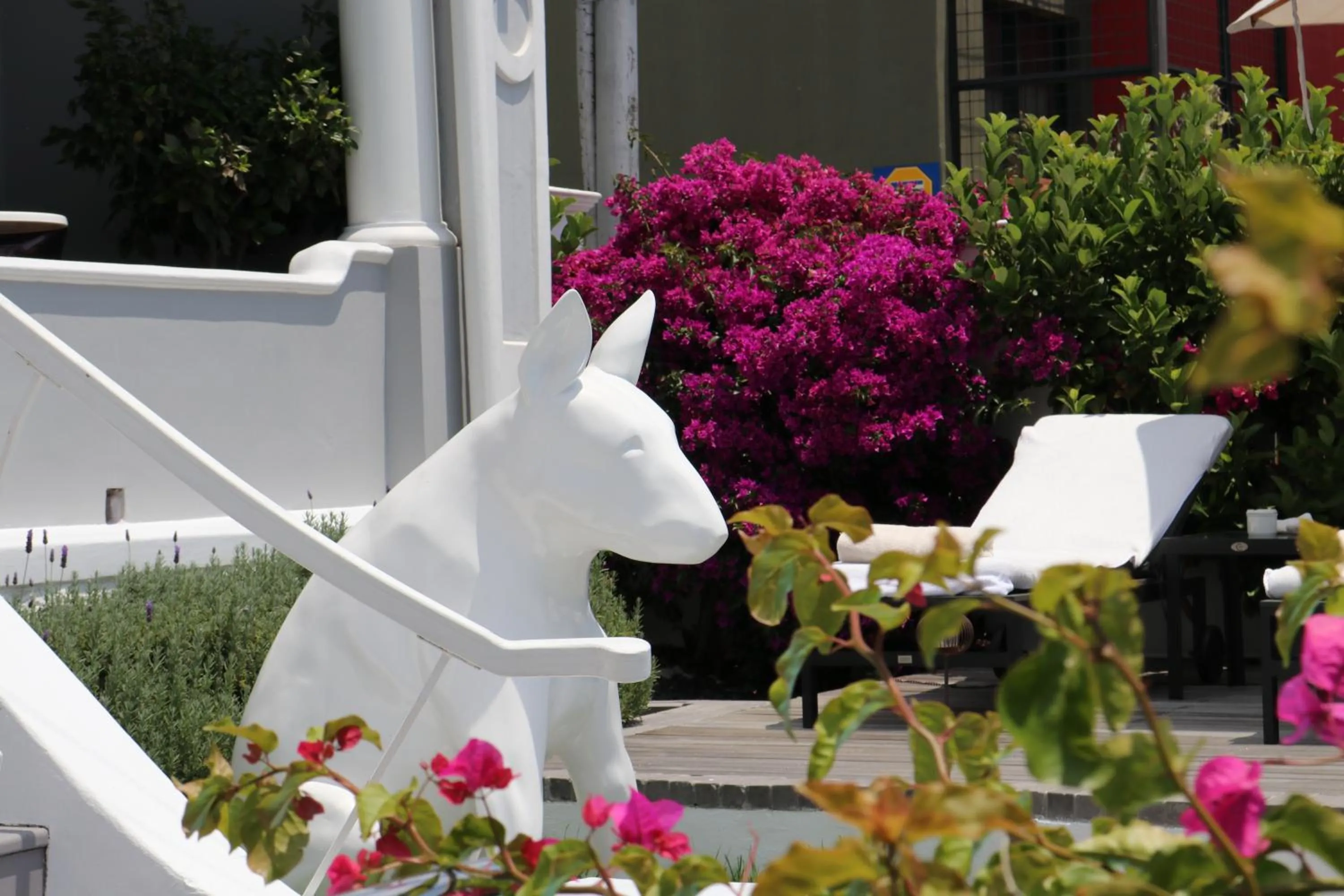 Garden view in DysArt Boutique Hotel - Solar Power