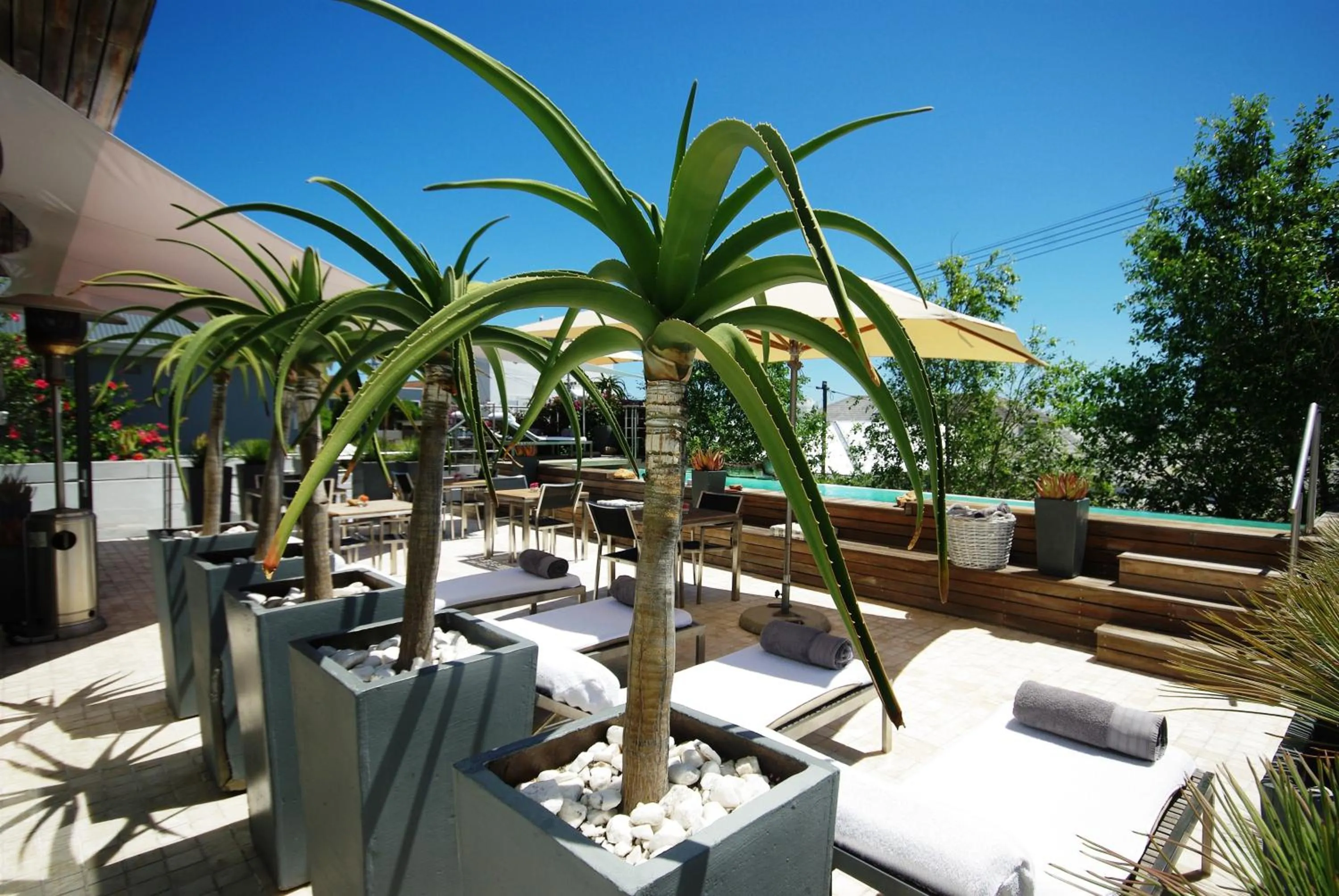 Swimming pool in DysArt Boutique Hotel - Solar Power