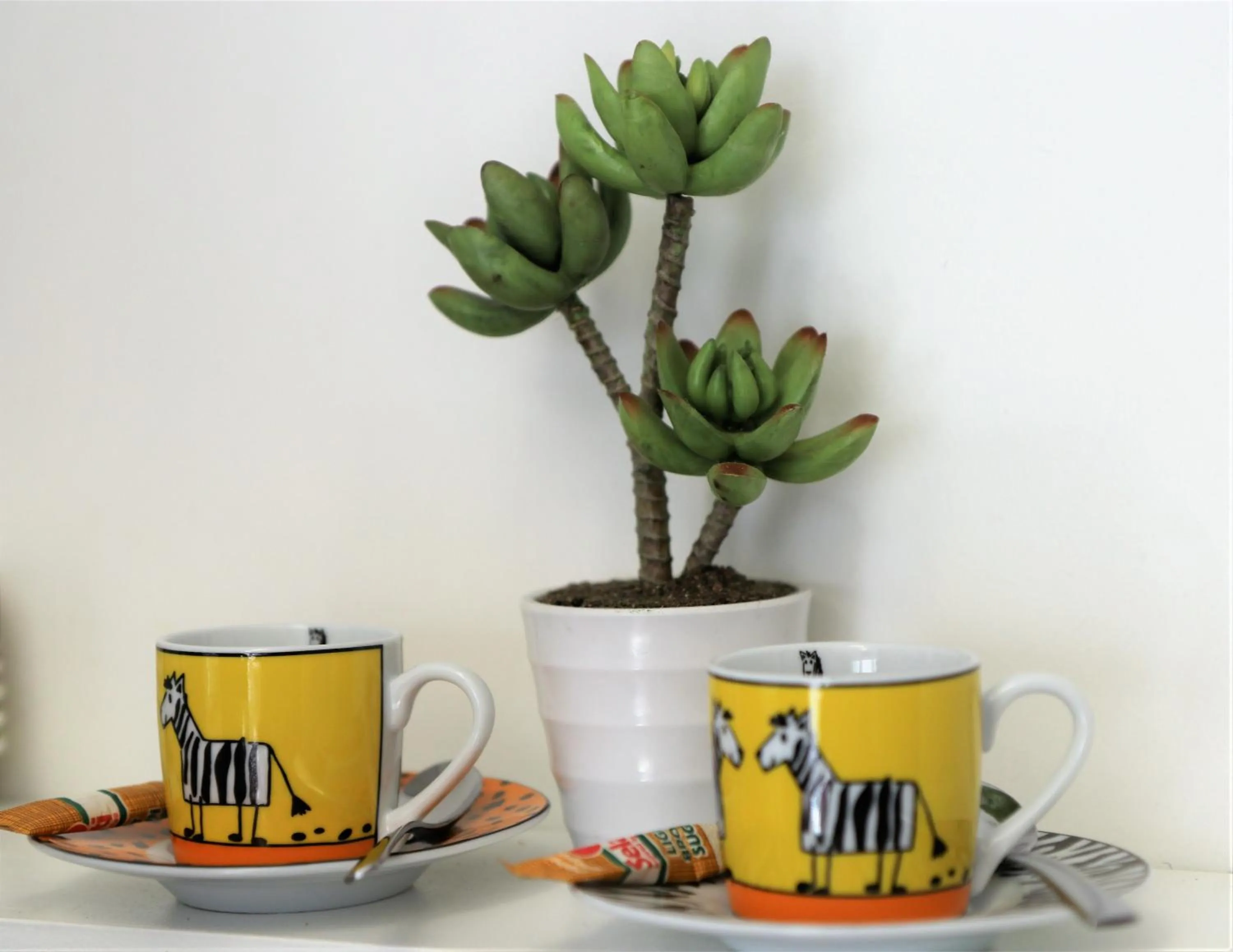 Breakfast in DysArt Boutique Hotel - Solar Power