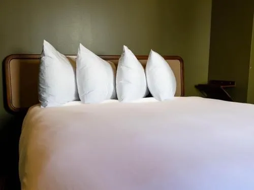 Hotel Alexander