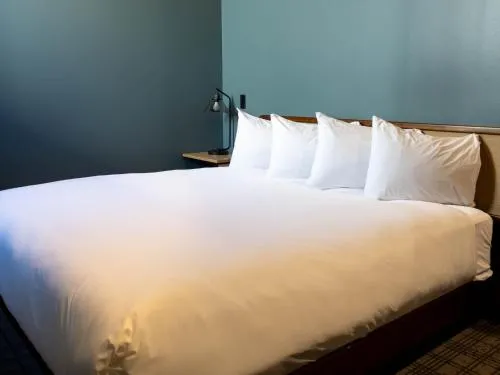 Hotel Alexander