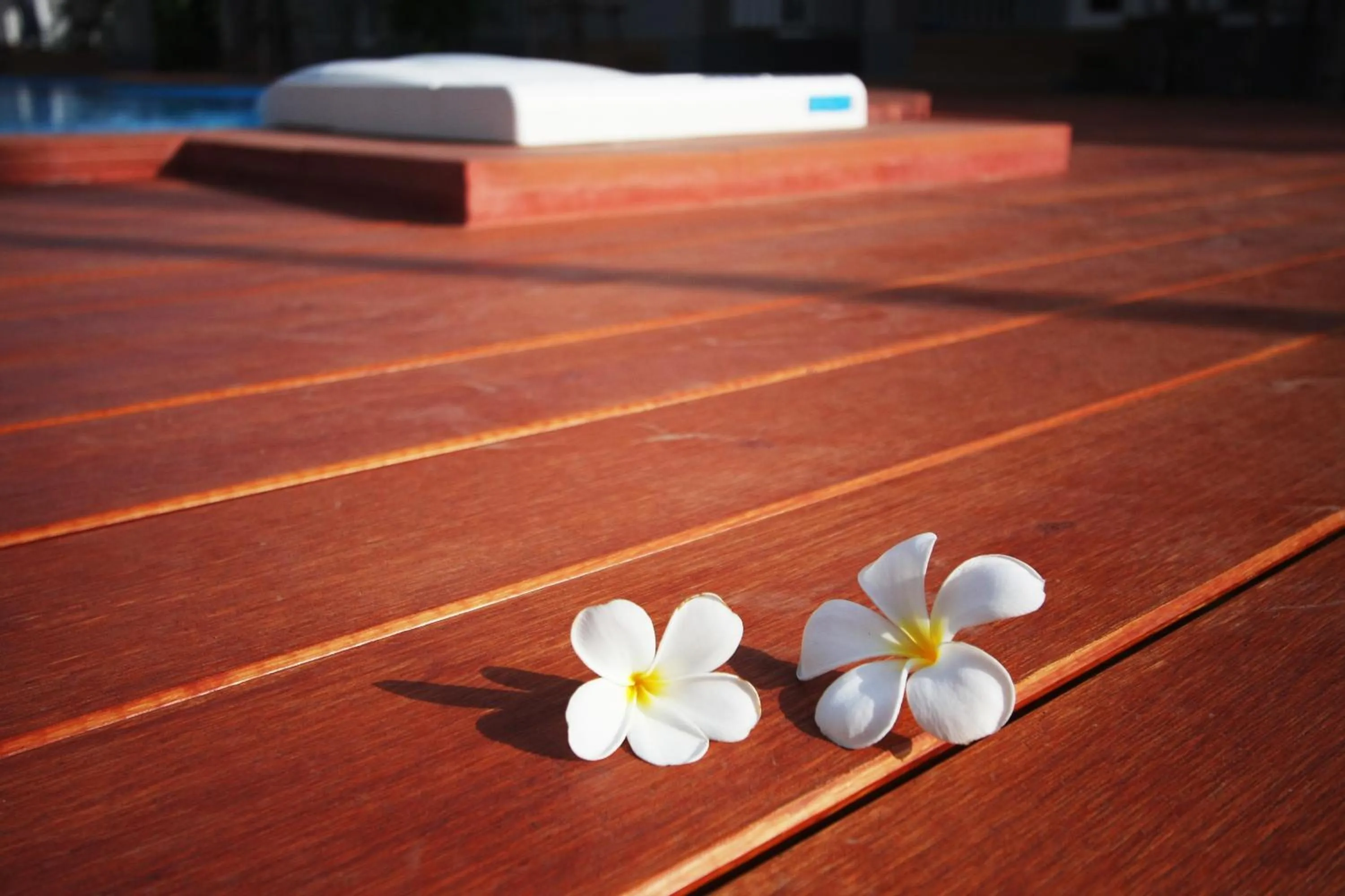 Day in Rongsang Resort