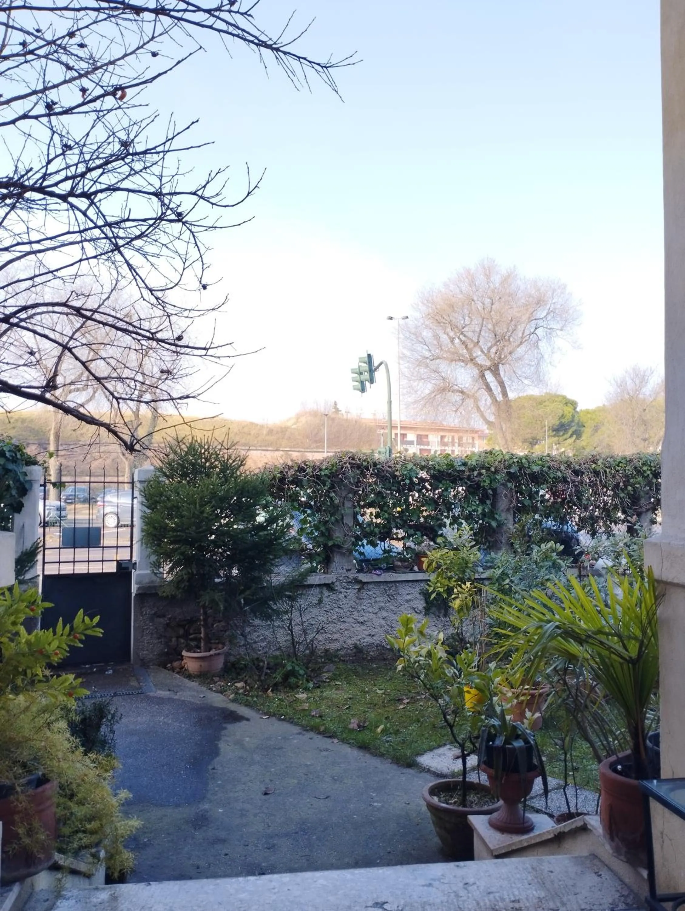 Garden in Le Maddalene