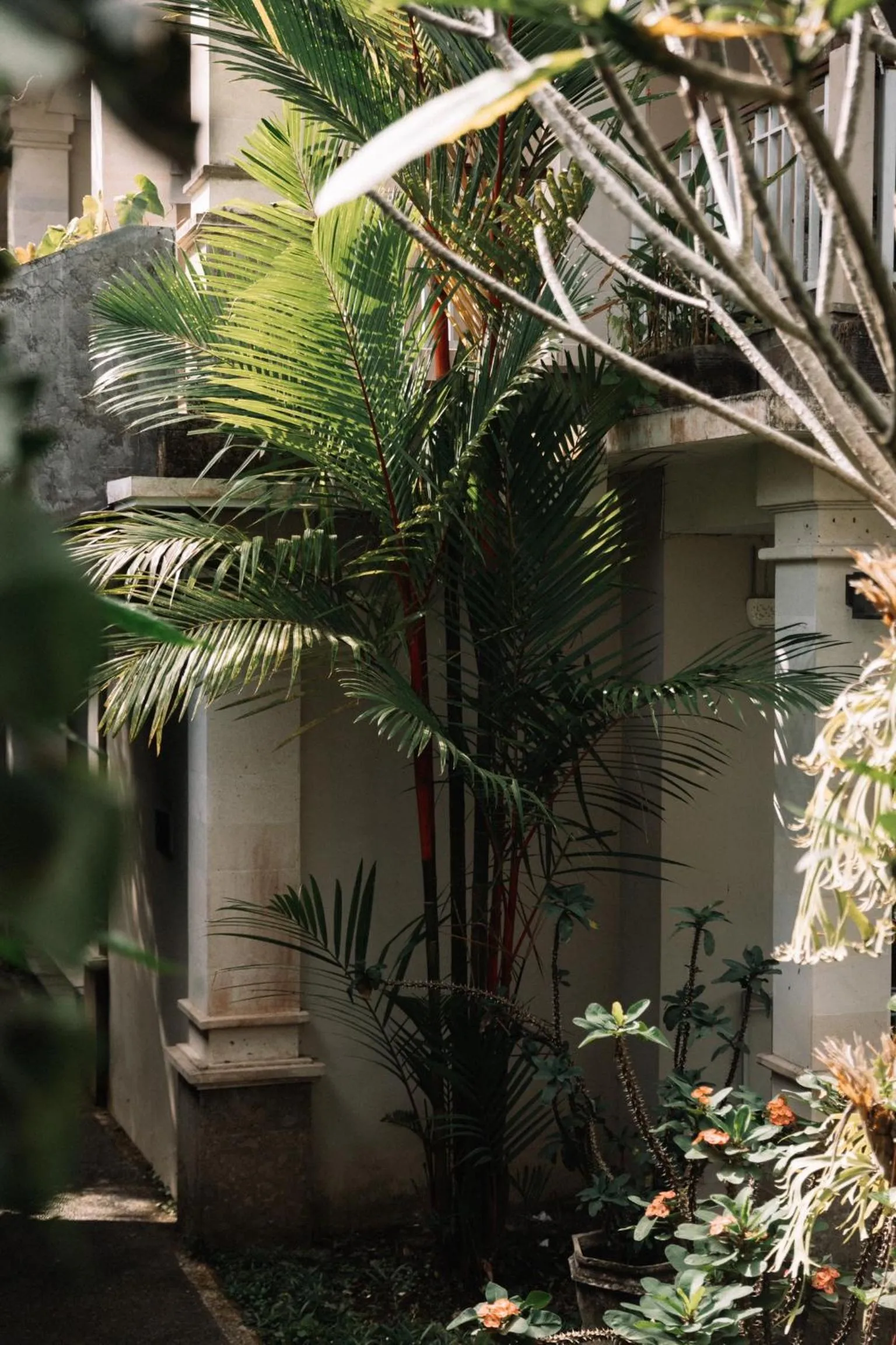 Merthayasa Bungalow 2