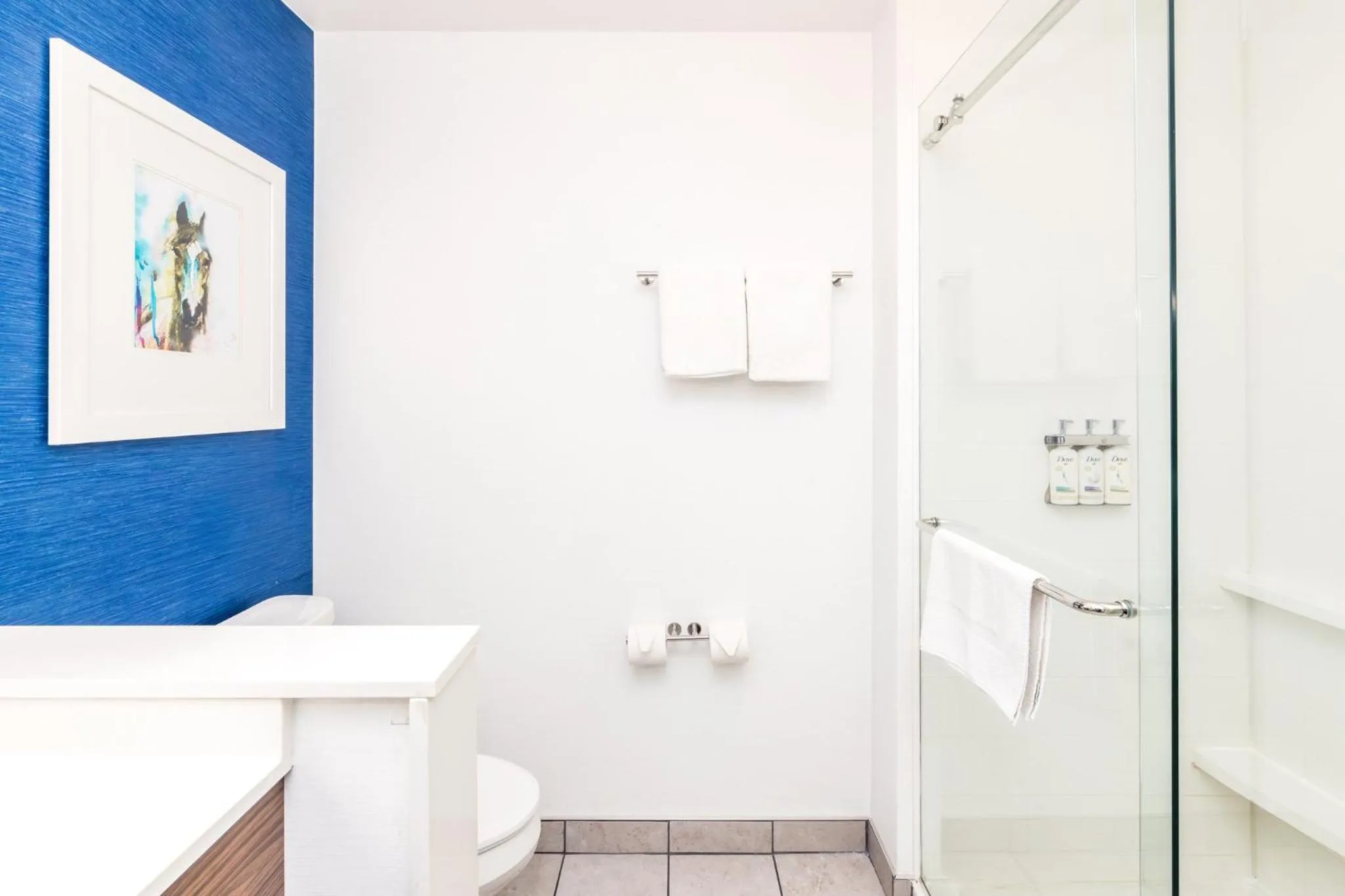 Bathroom in Holiday Inn Express & Suites Downtown Louisville by IHG