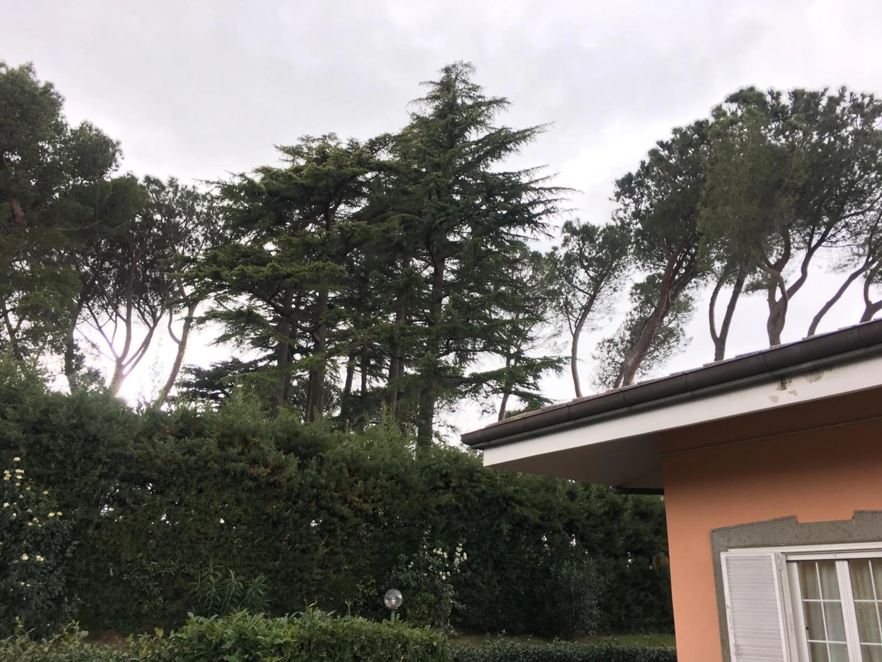 On site in VillaGiò B&B