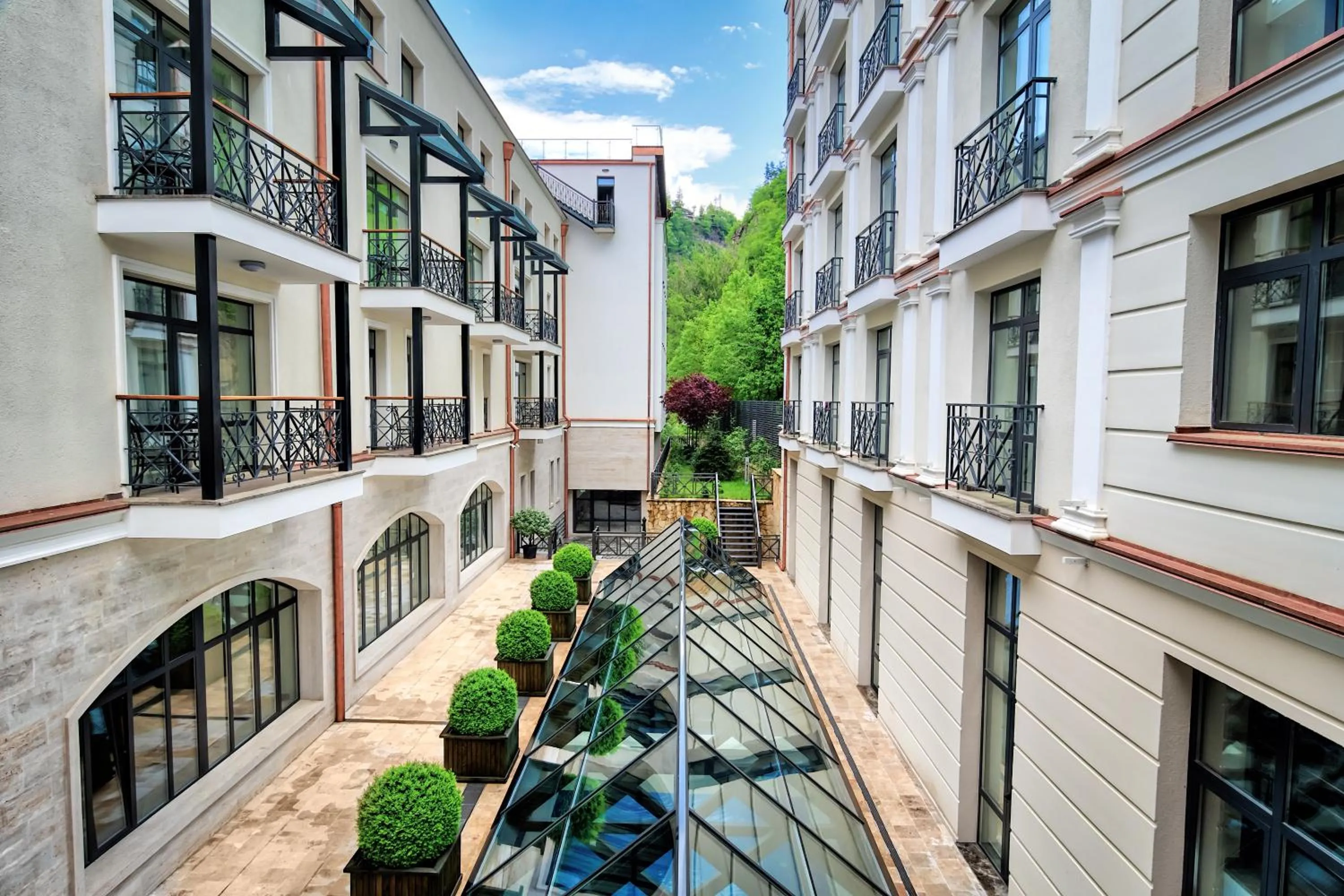 Area and facilities in Crowne Plaza - Borjomi by IHG