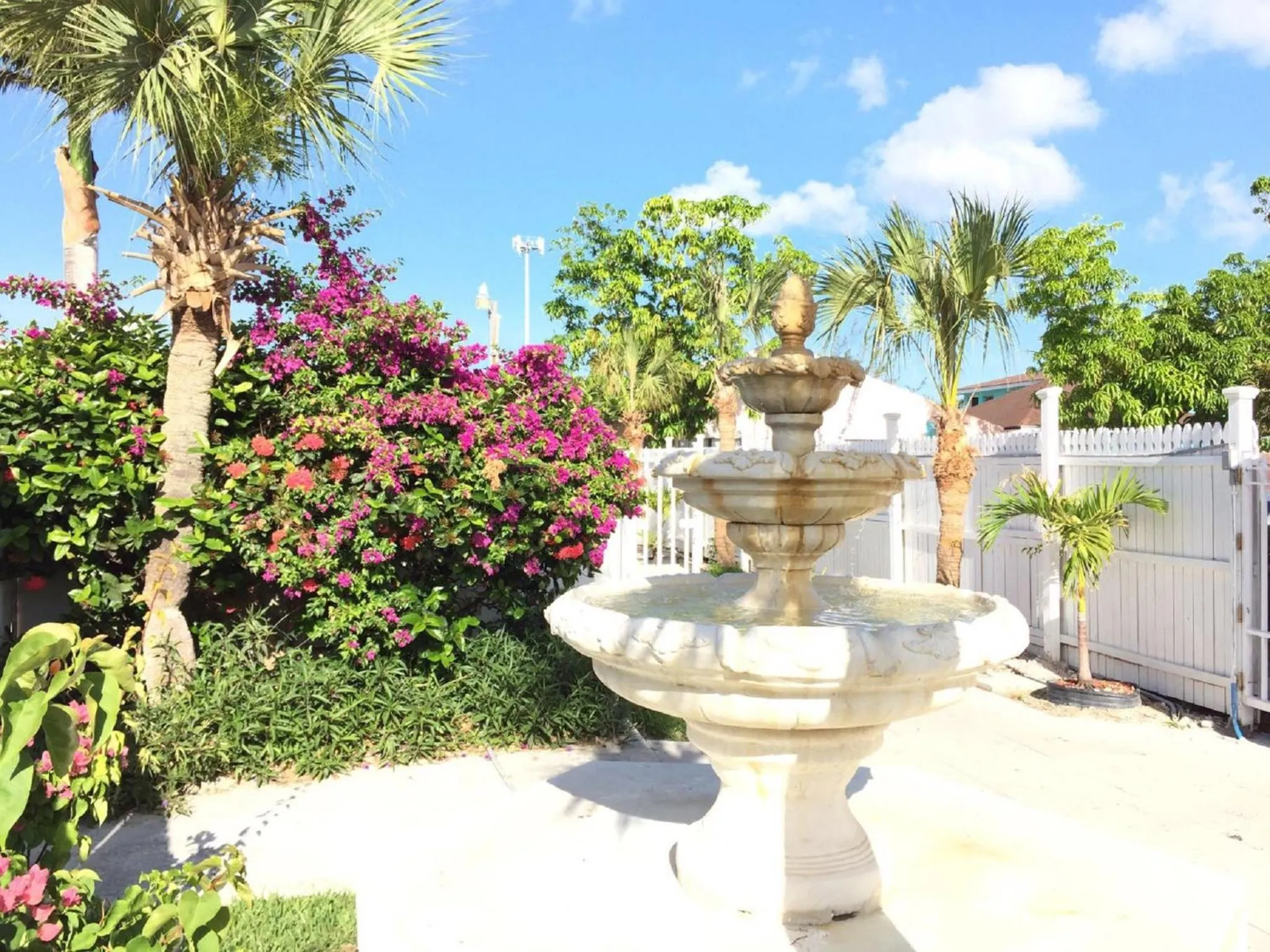 Garden in Colony Club Inn & Suites