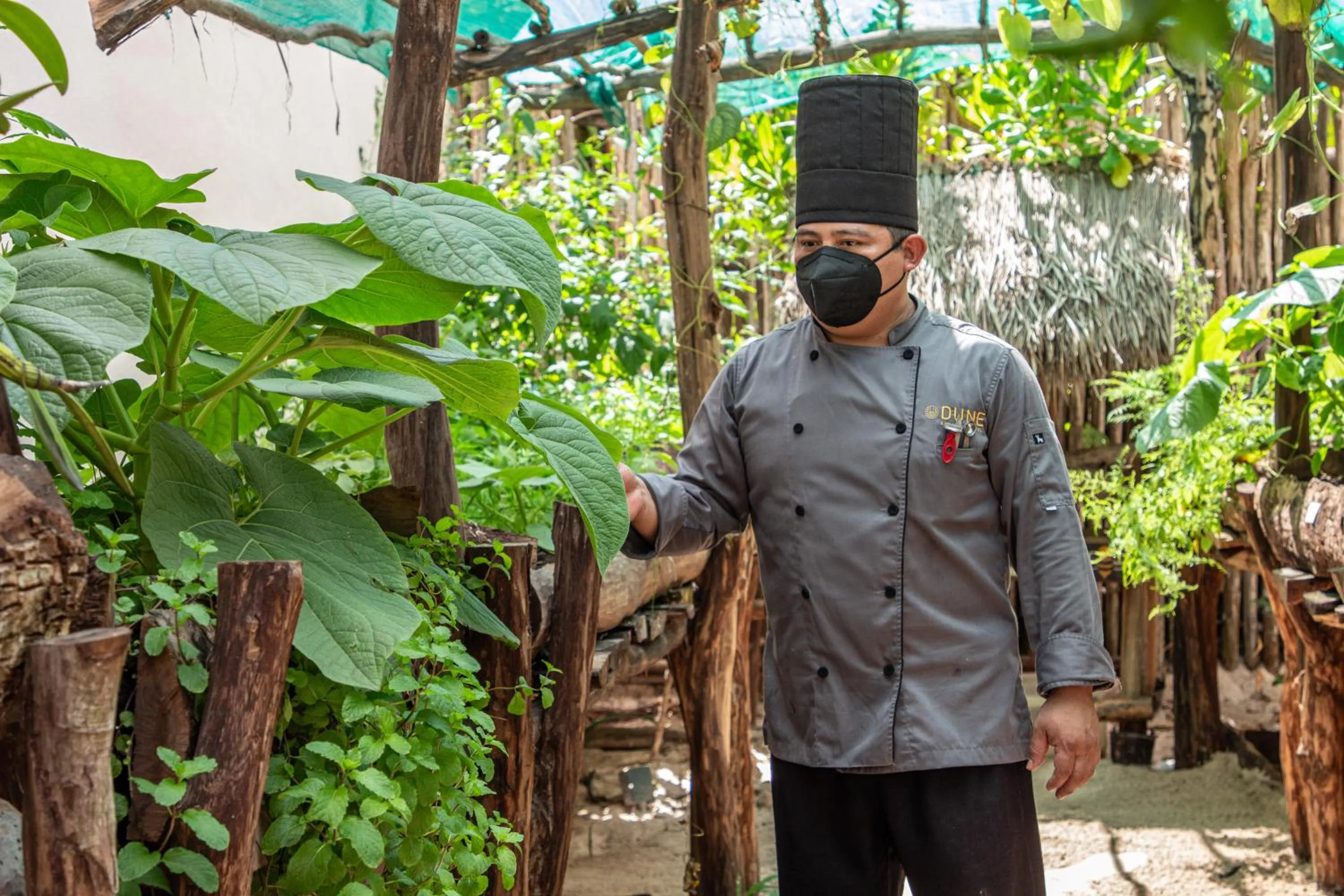 Garden in Dune Boutique Hotel located at the party zone