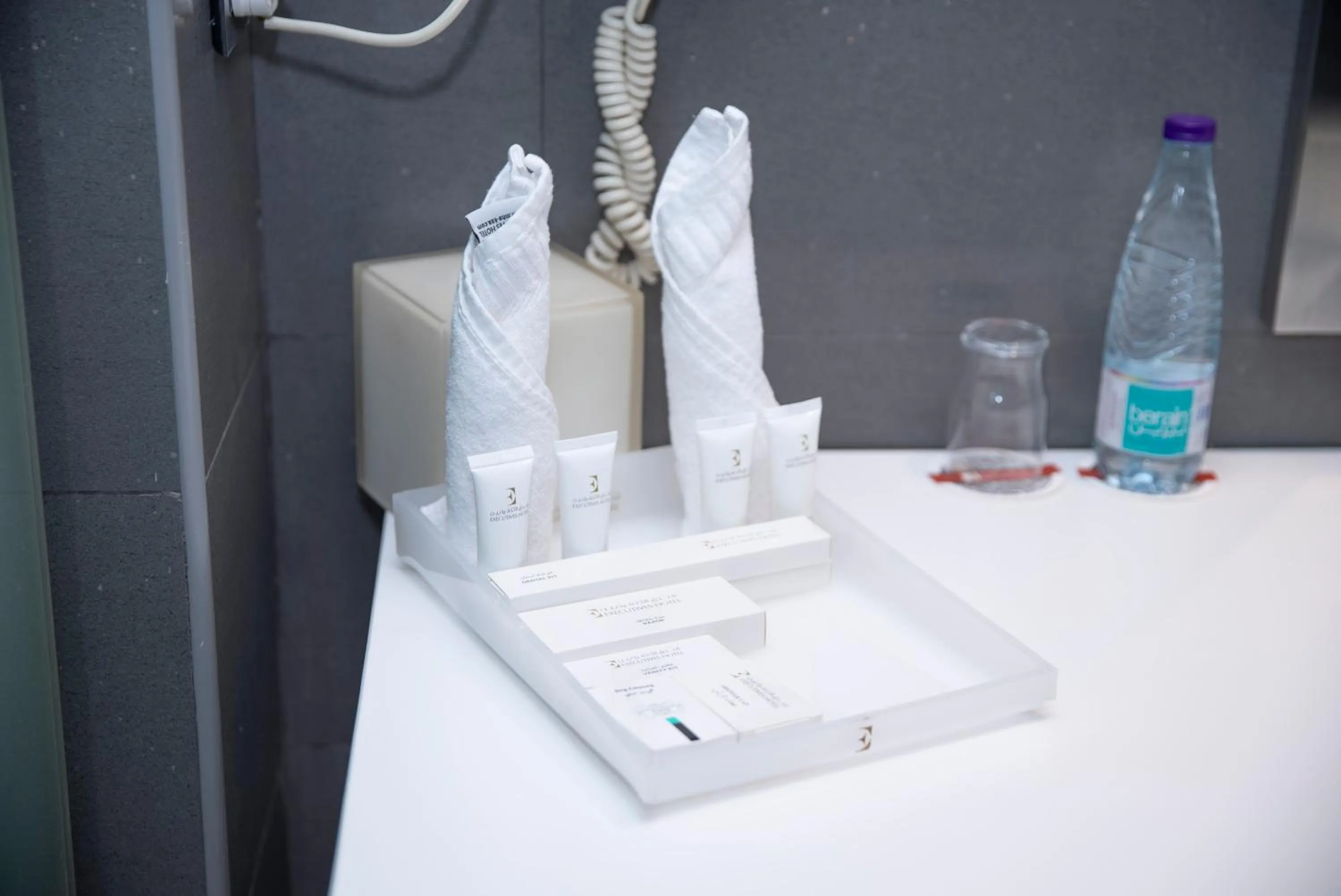 Toilet in Executives Hotel - KAFD