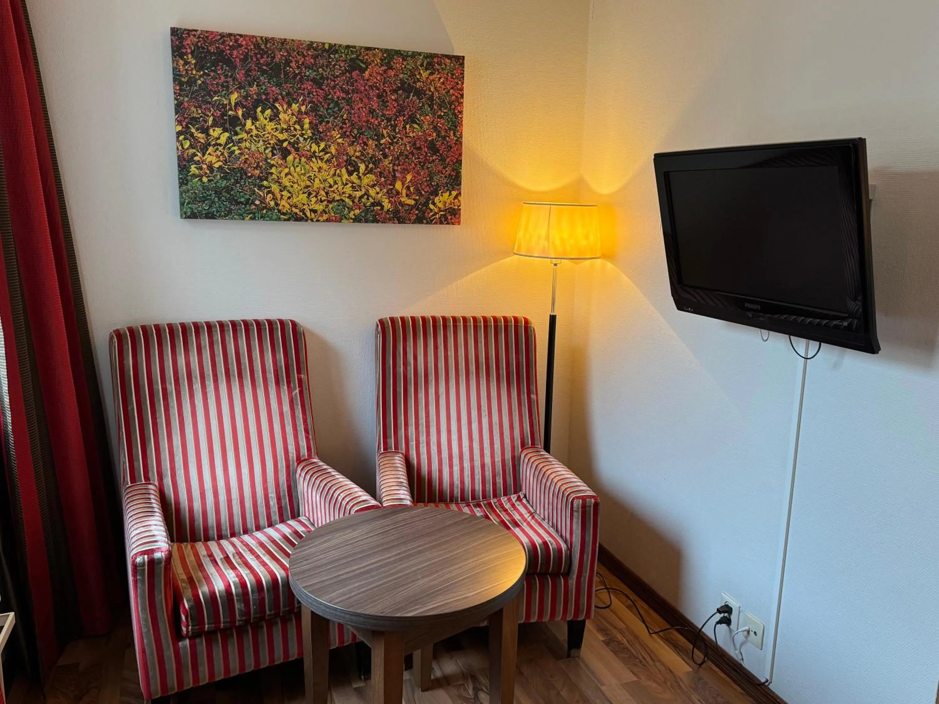 TV and multimedia in Park Hotel Vossevangen