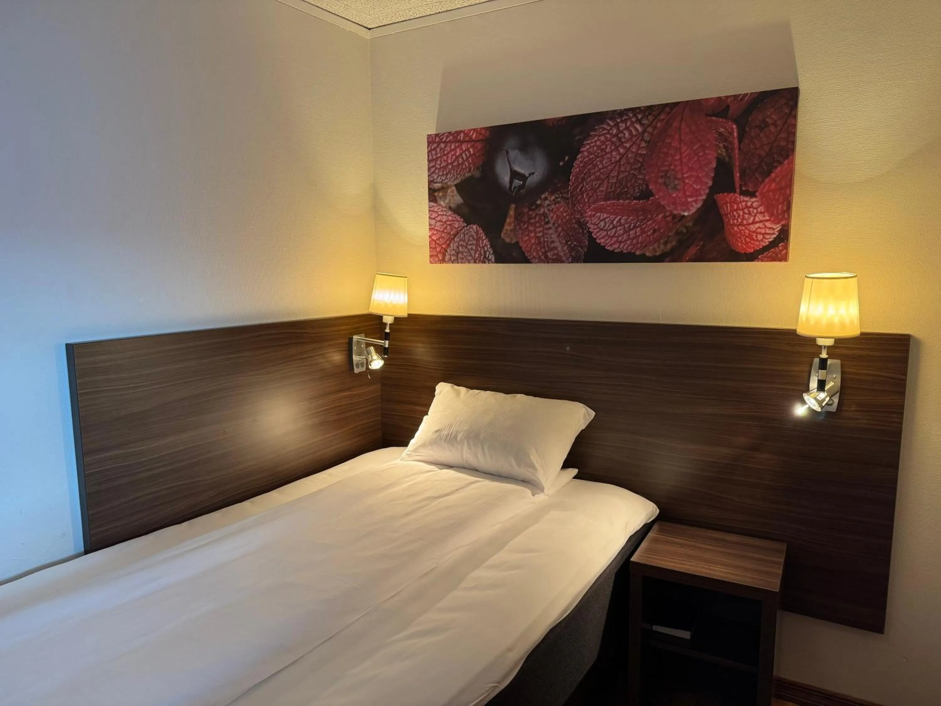 Bed in Park Hotel Vossevangen