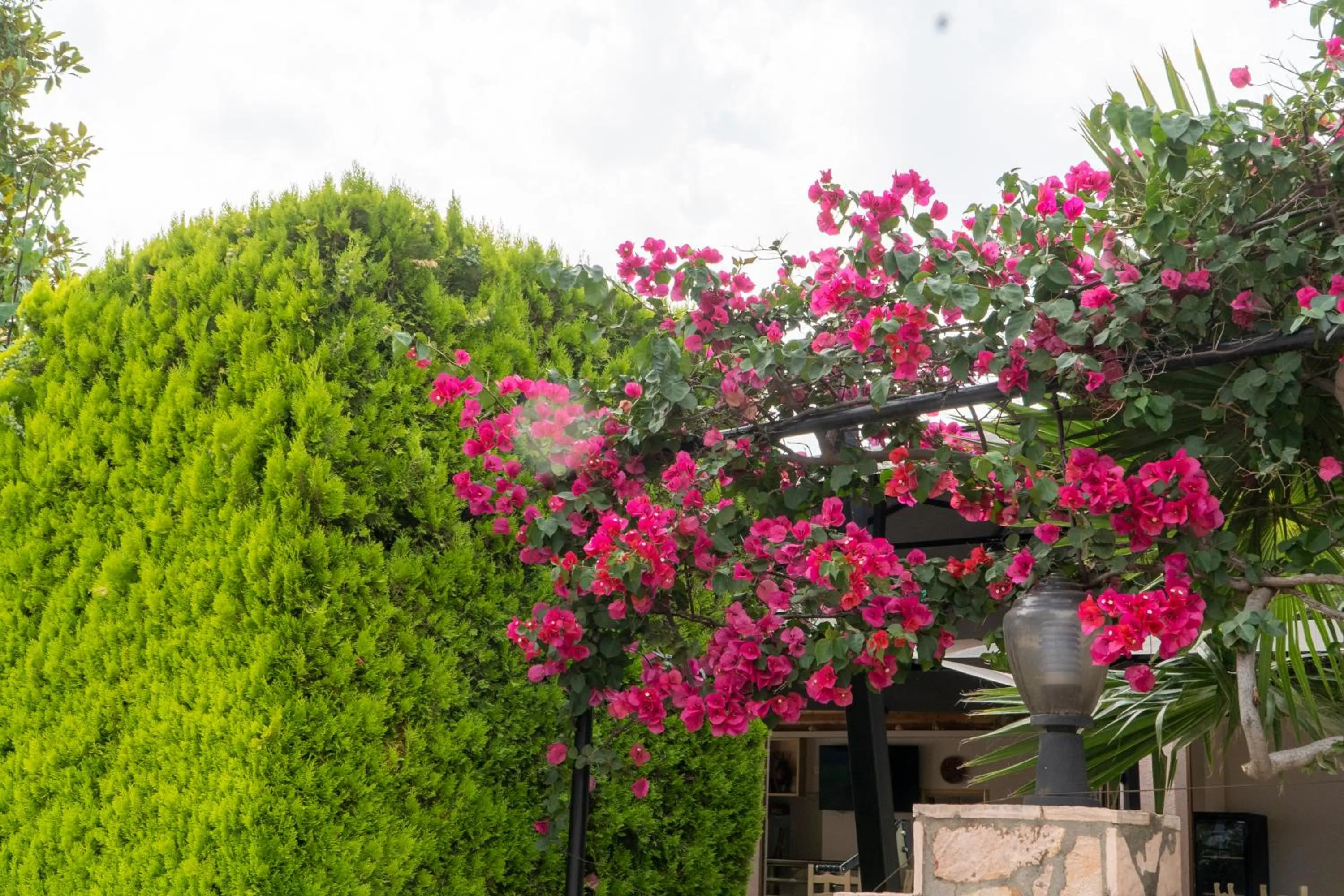 Day in Hotel Mediterrane