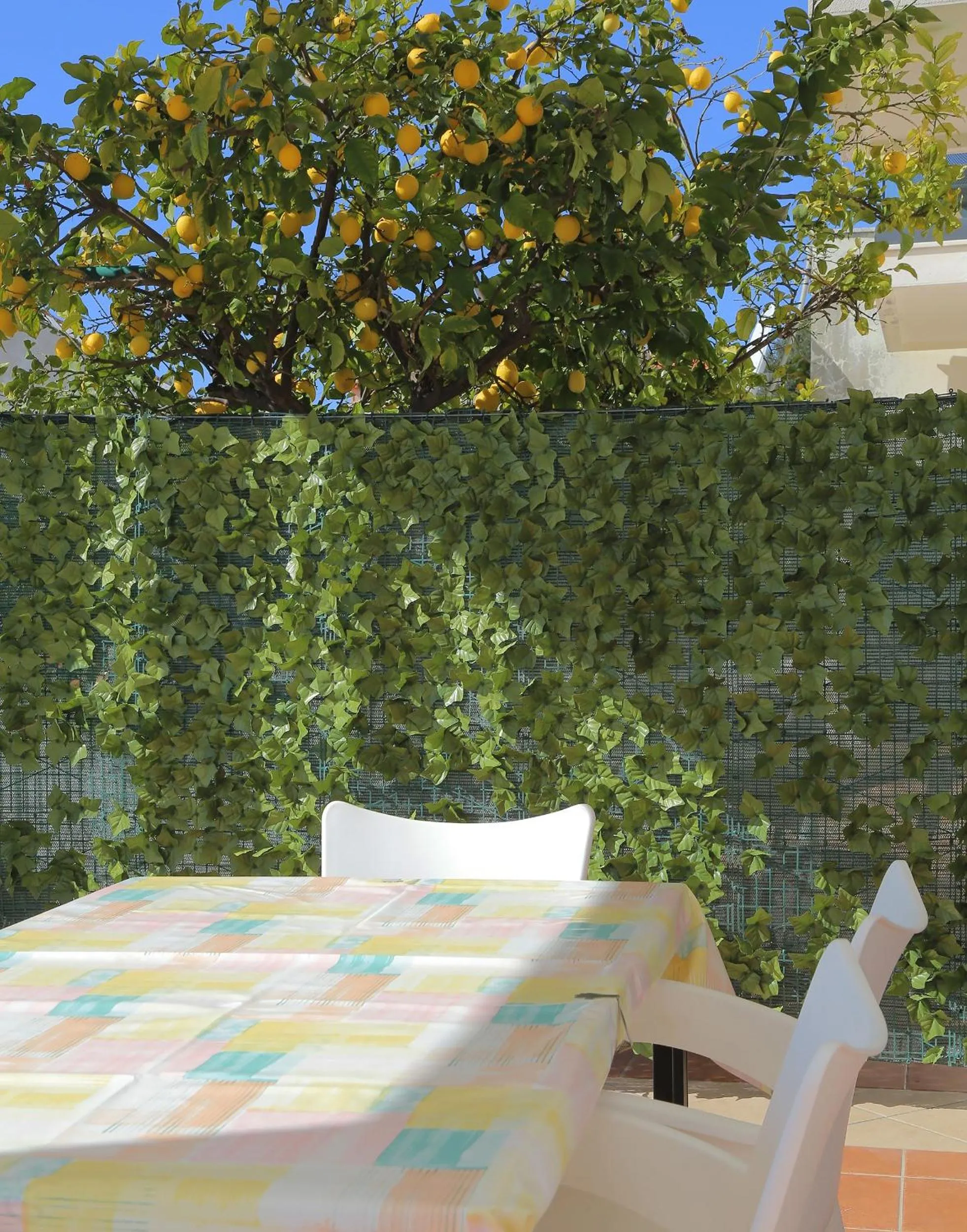 Property building in Apartments Isabora