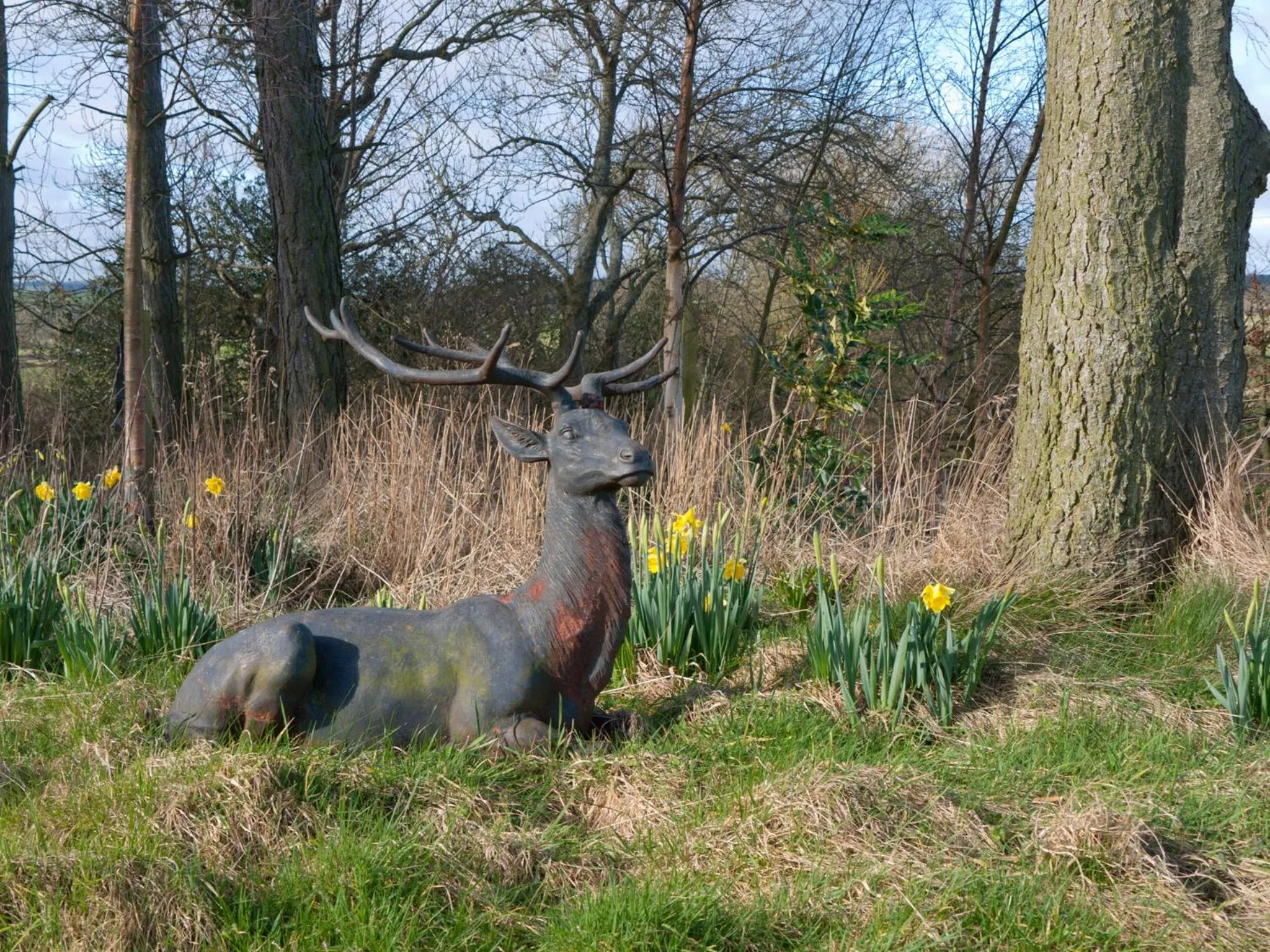 Animals in Throphill Grange