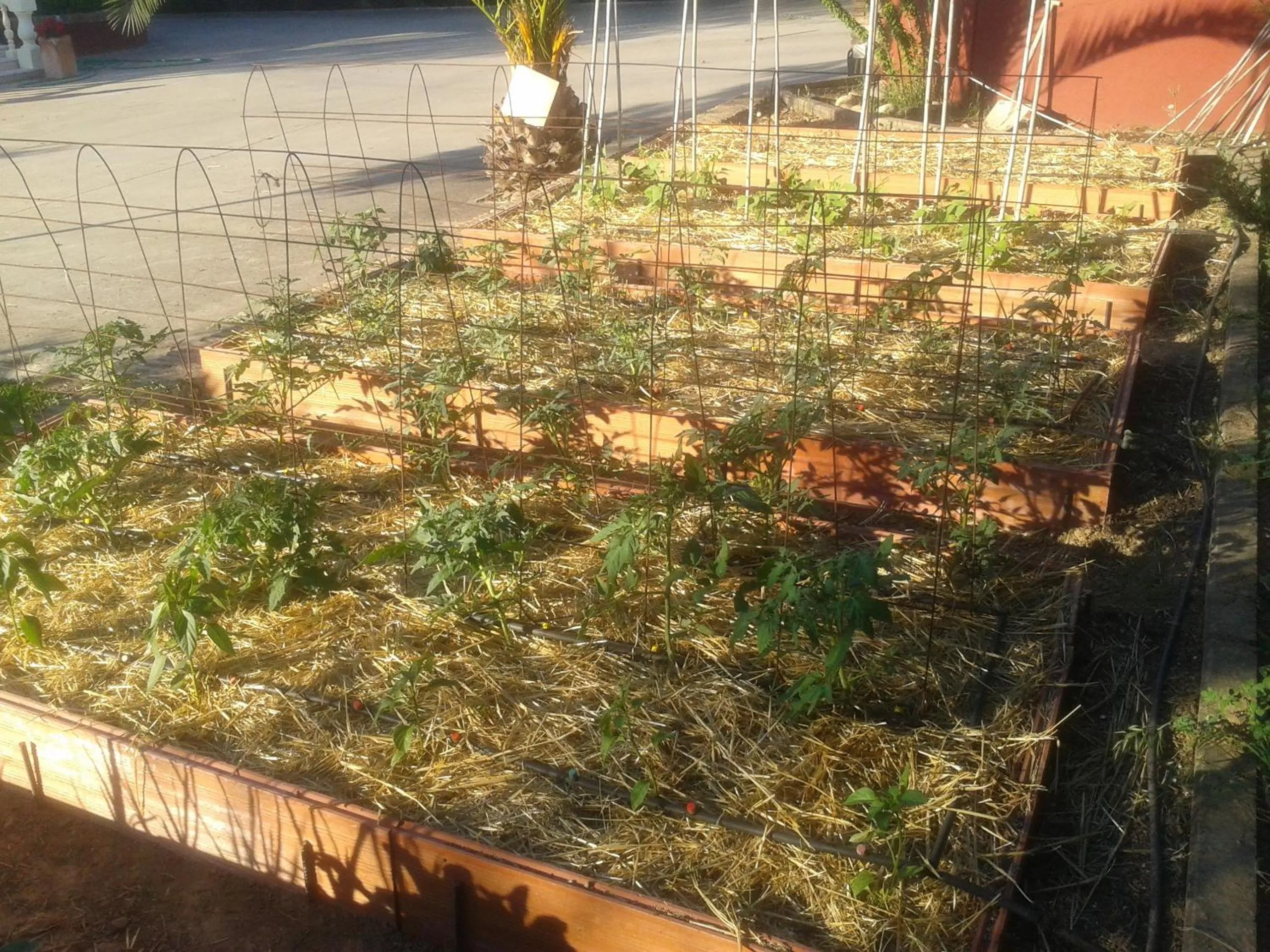 Area and facilities in El Manantial B&B