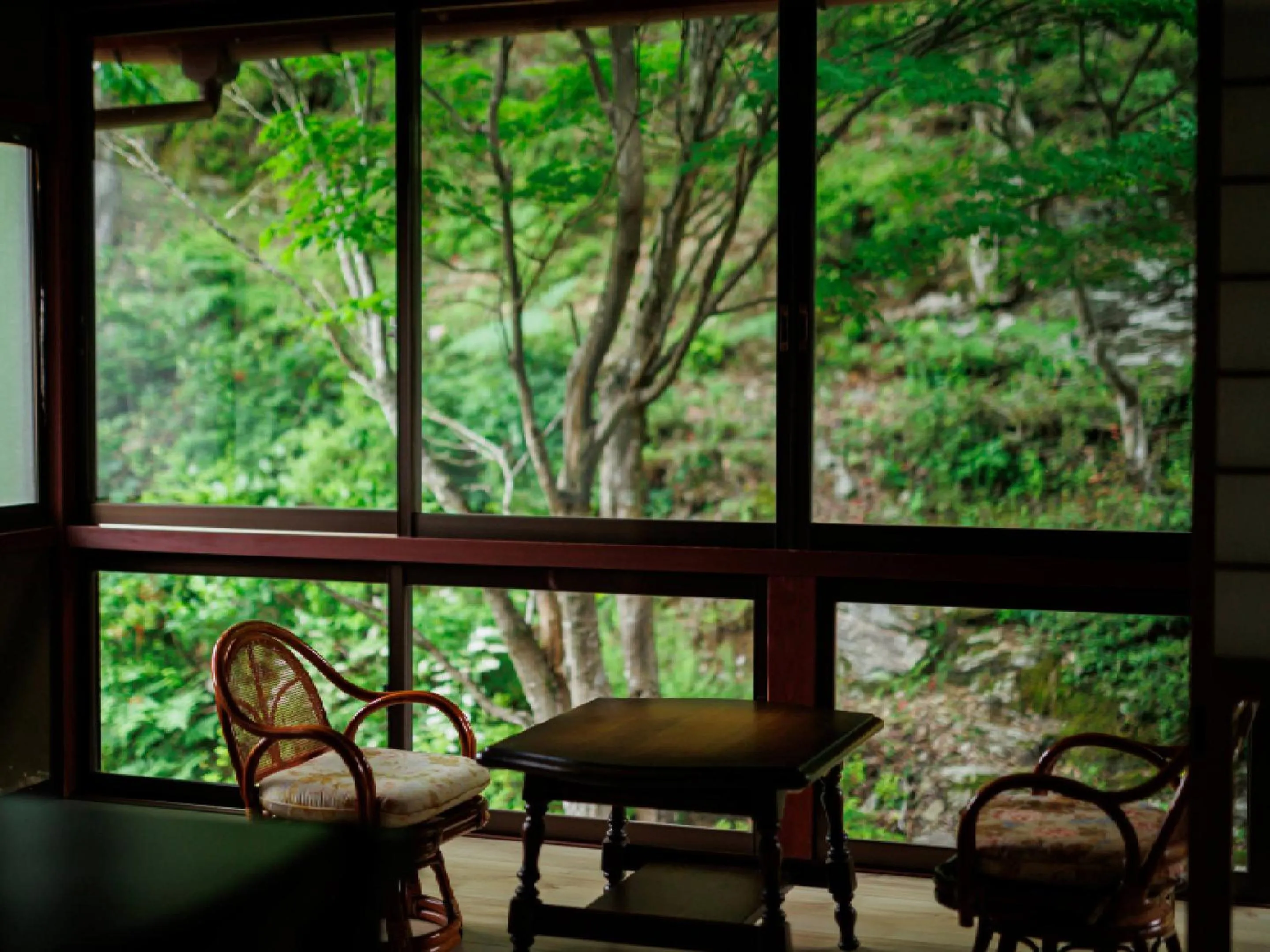 Photo of the whole room in Ryokan Kigusuriya