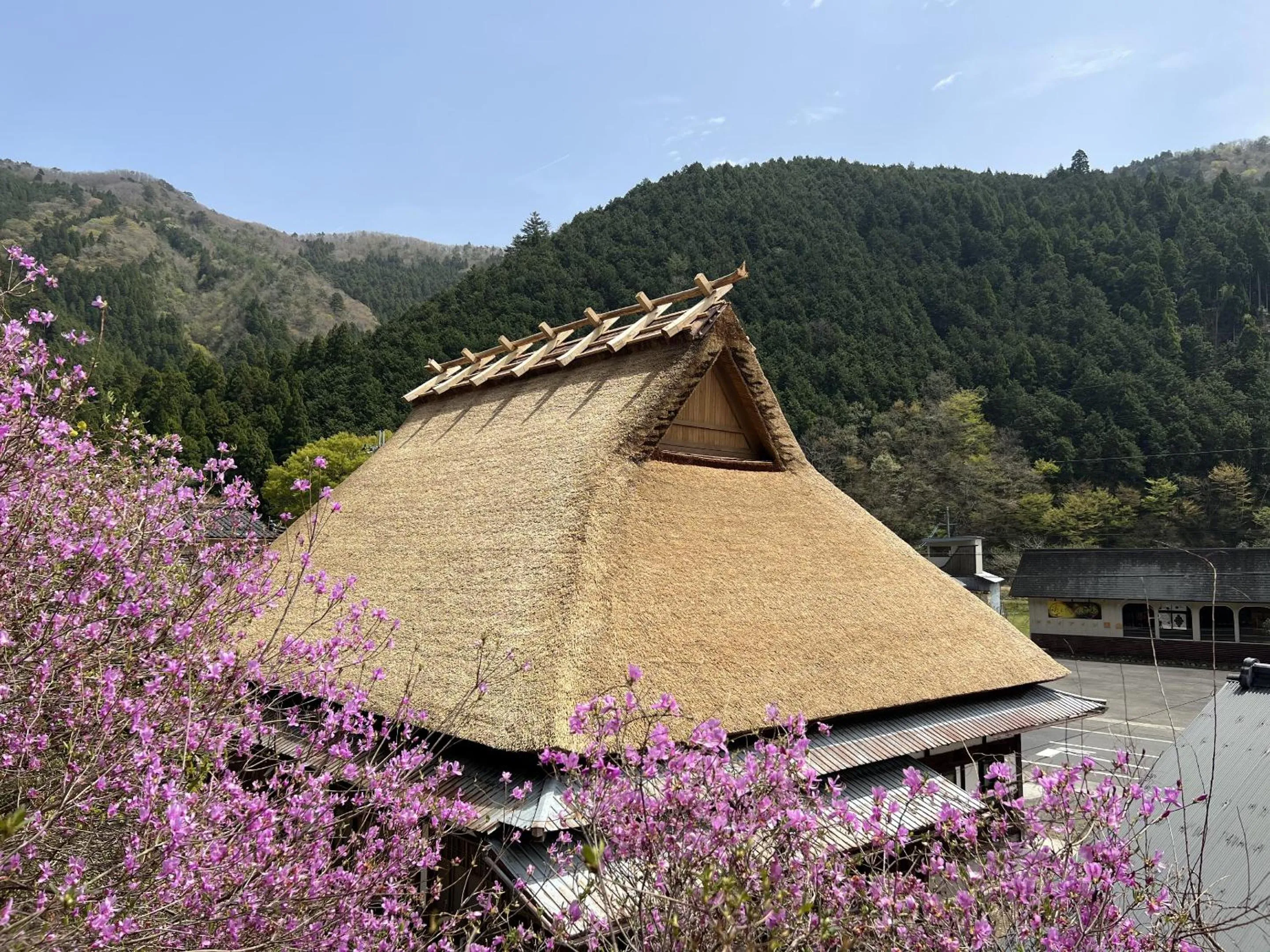 Property building in Ryokan Kigusuriya