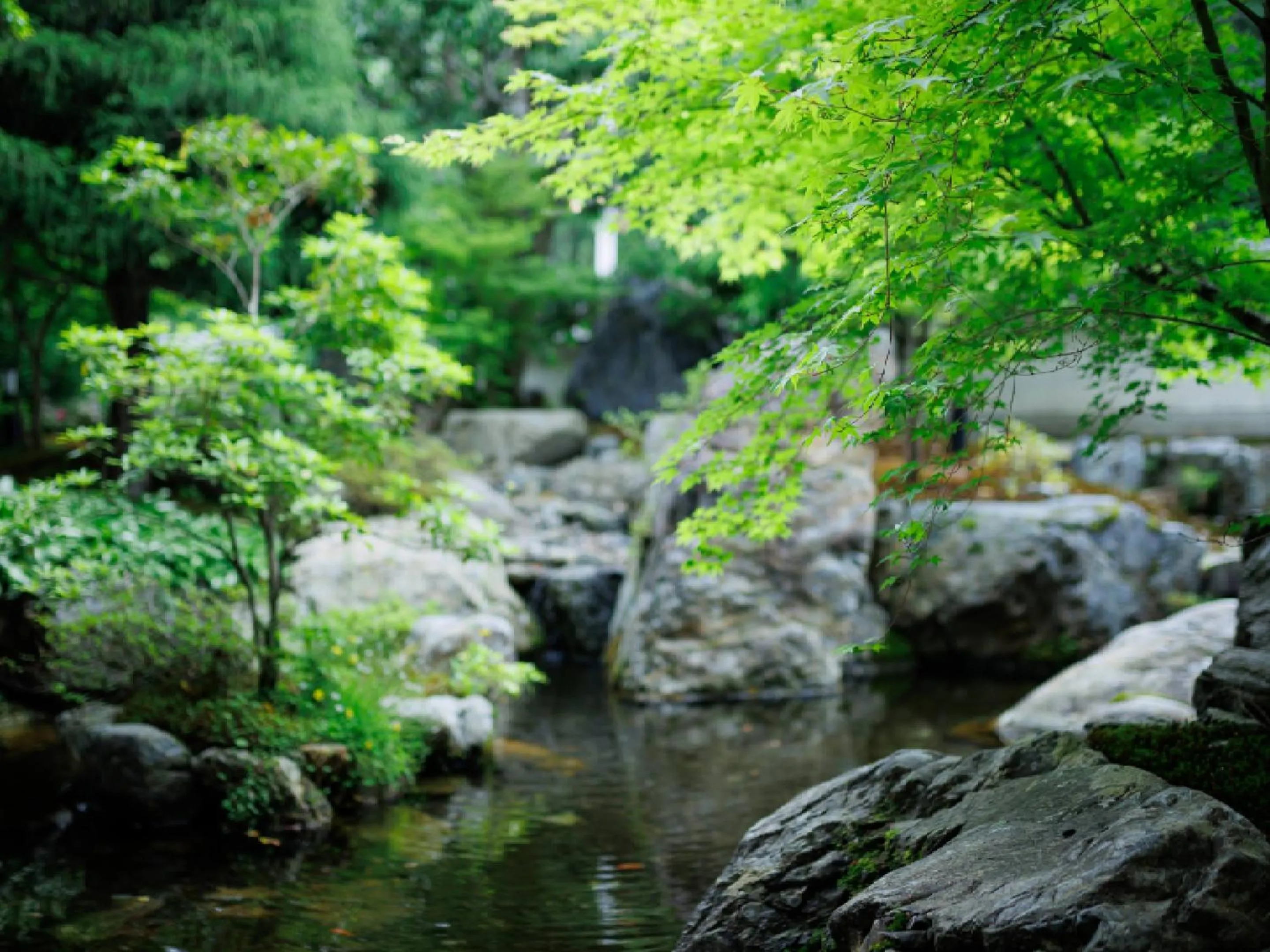 Garden in Ryokan Kigusuriya