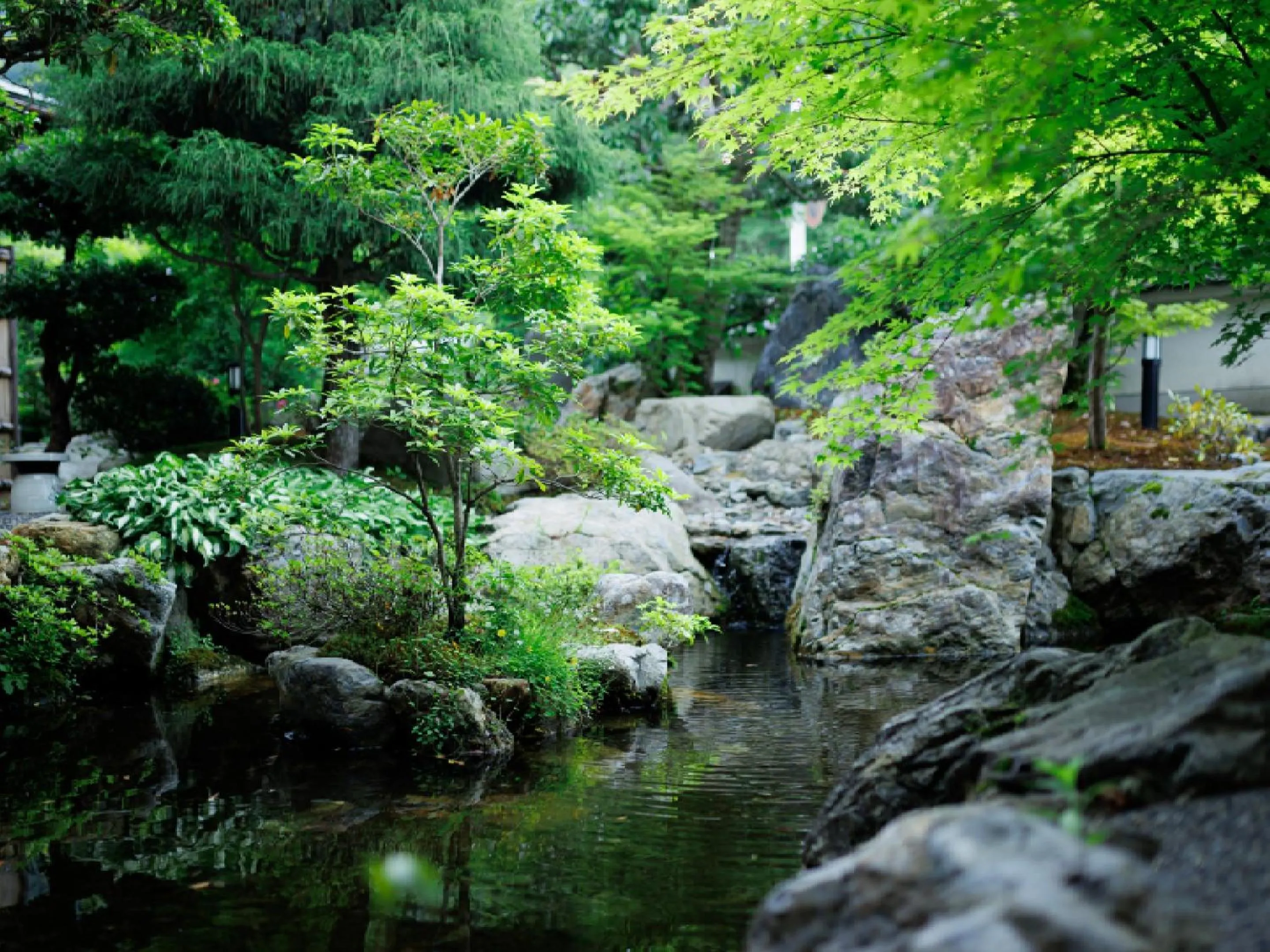 Garden in Ryokan Kigusuriya
