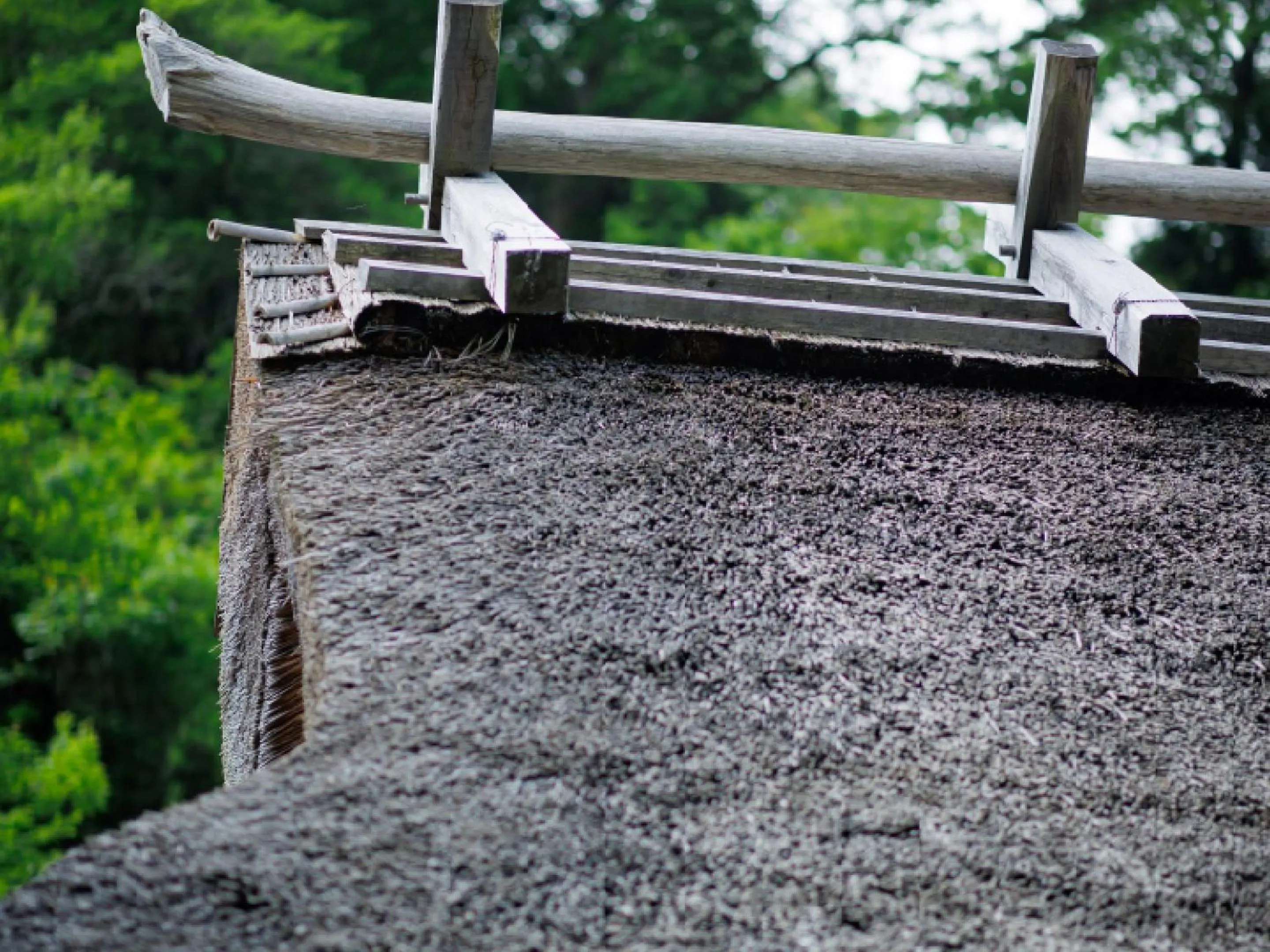 Property building in Ryokan Kigusuriya