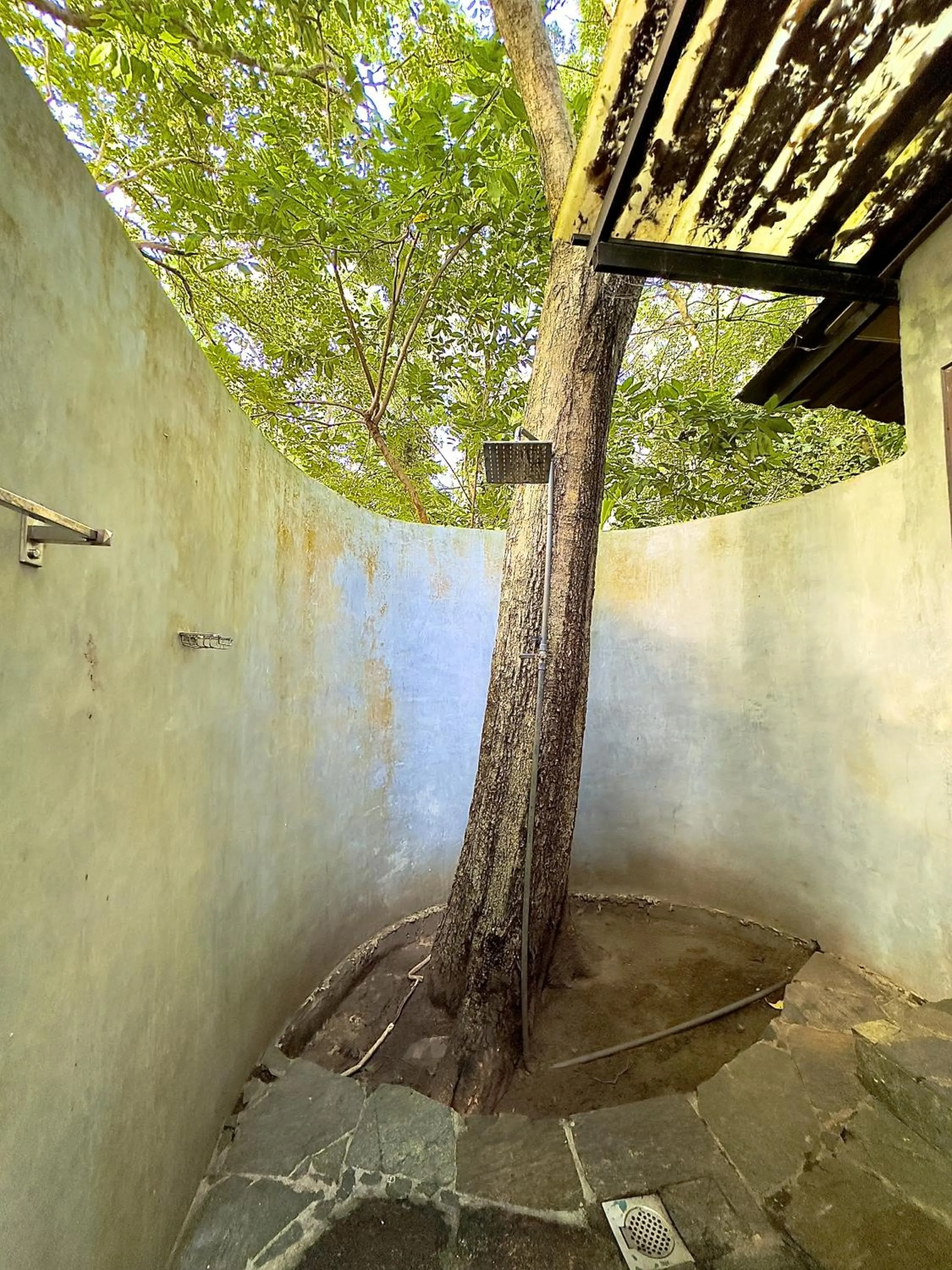 Day in Birds Paradise Inn