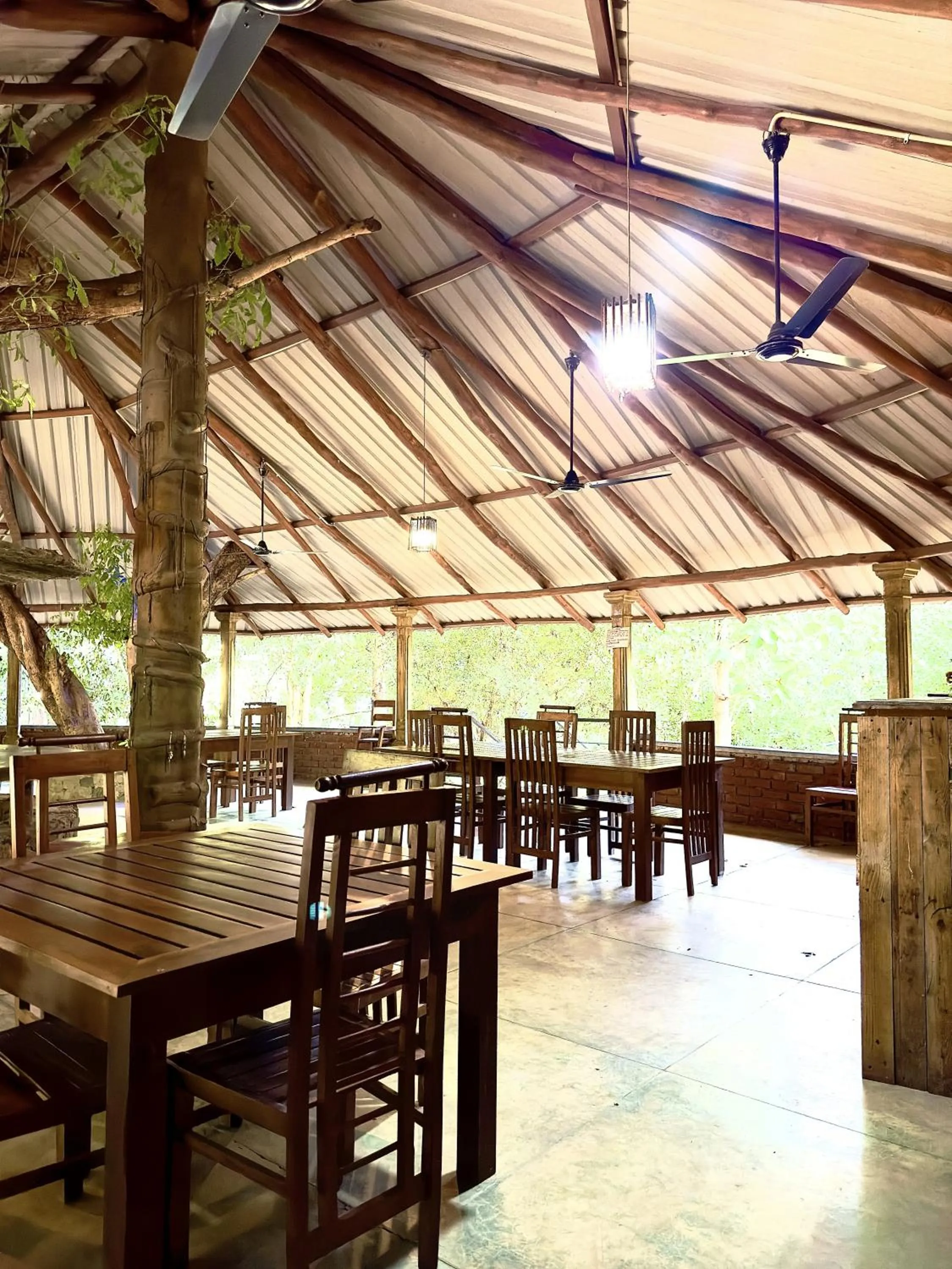 Restaurant/places to eat in Birds Paradise Inn