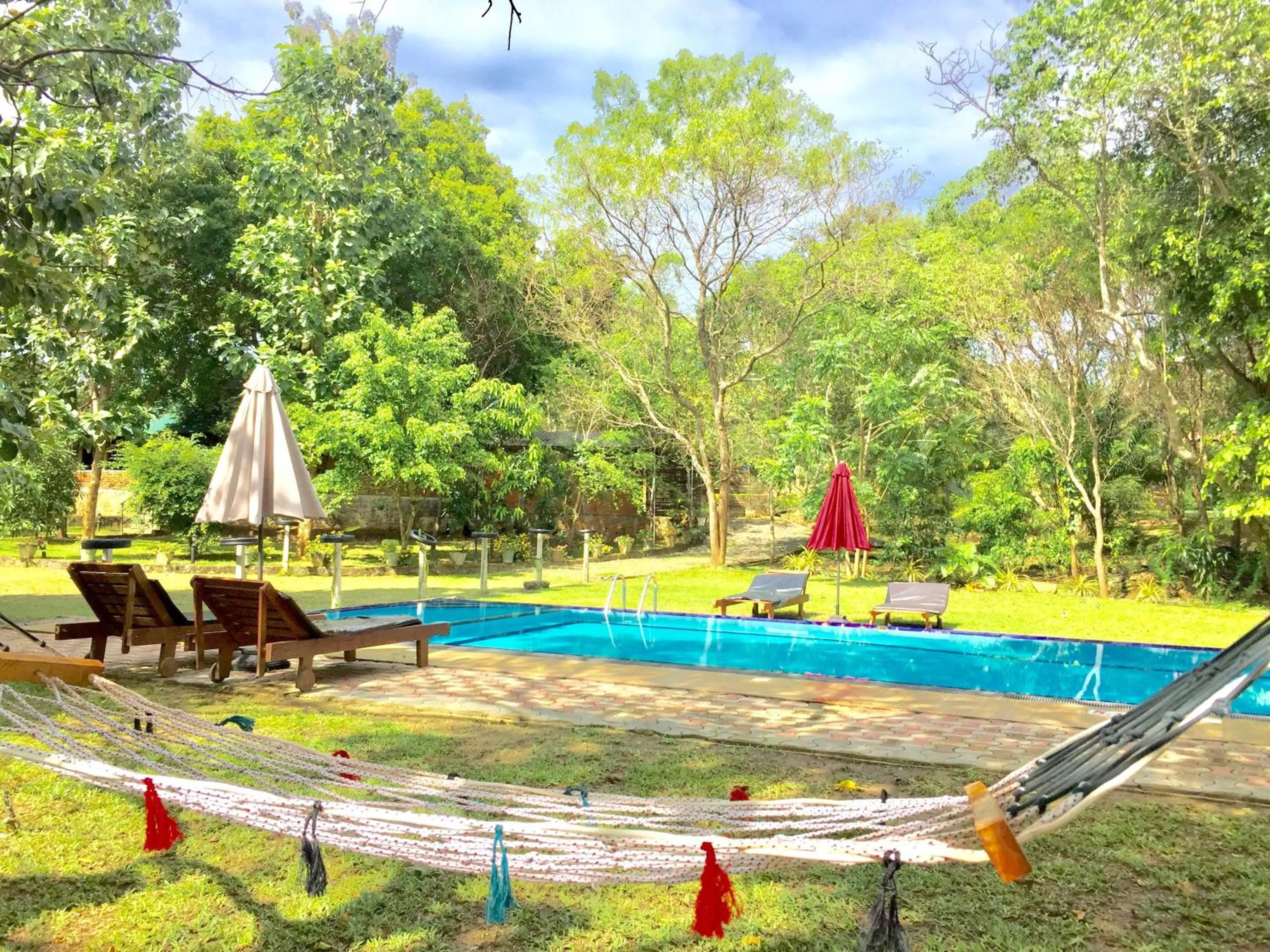 Garden in Birds Paradise Inn