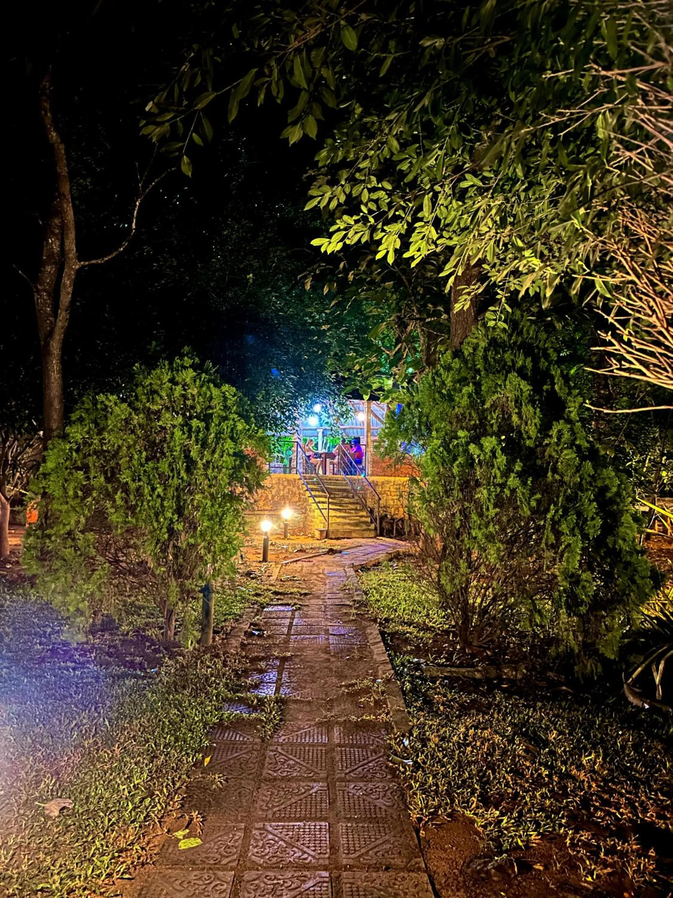 Night in Birds Paradise Inn