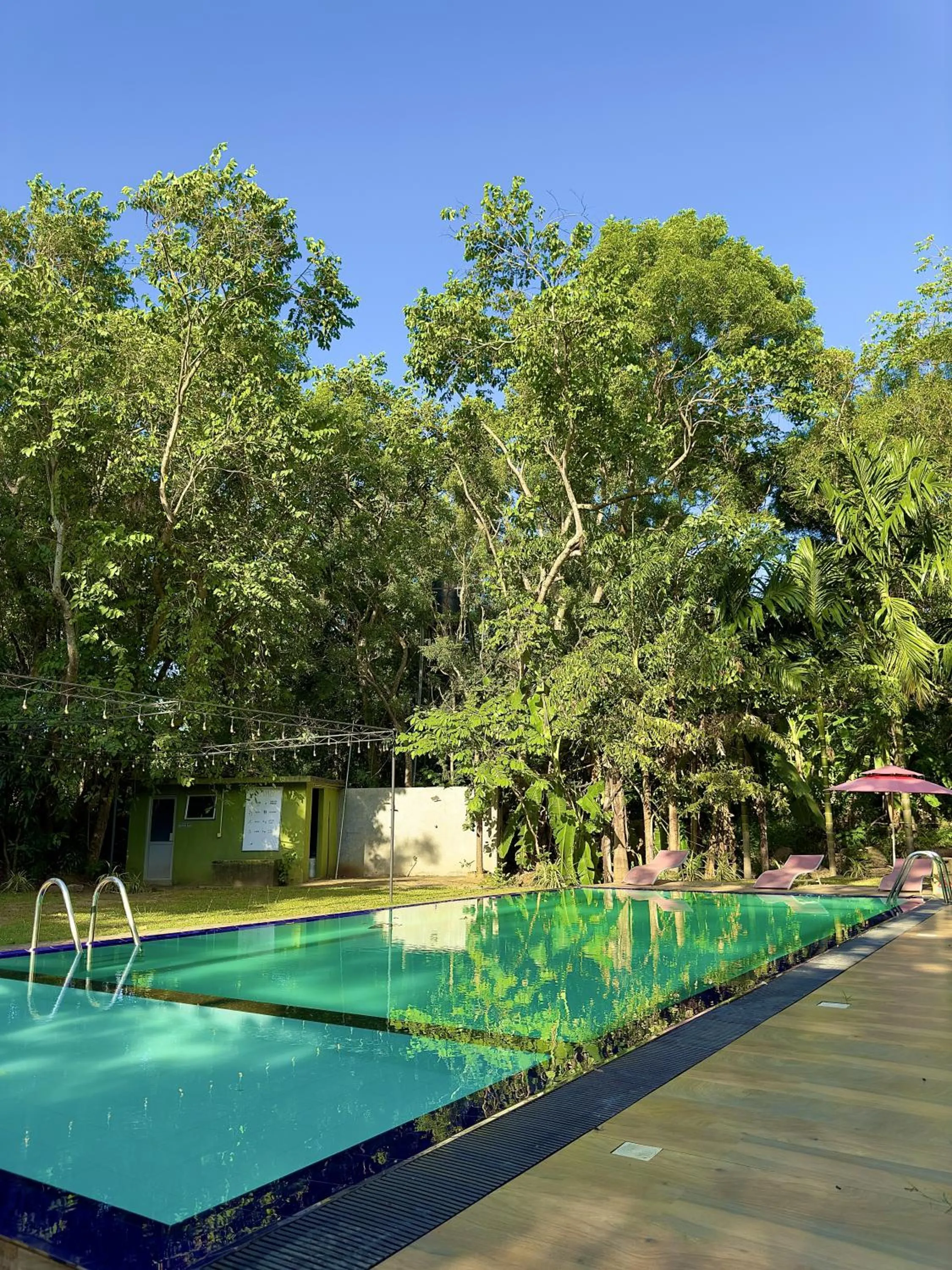 Swimming pool in Birds Paradise Inn