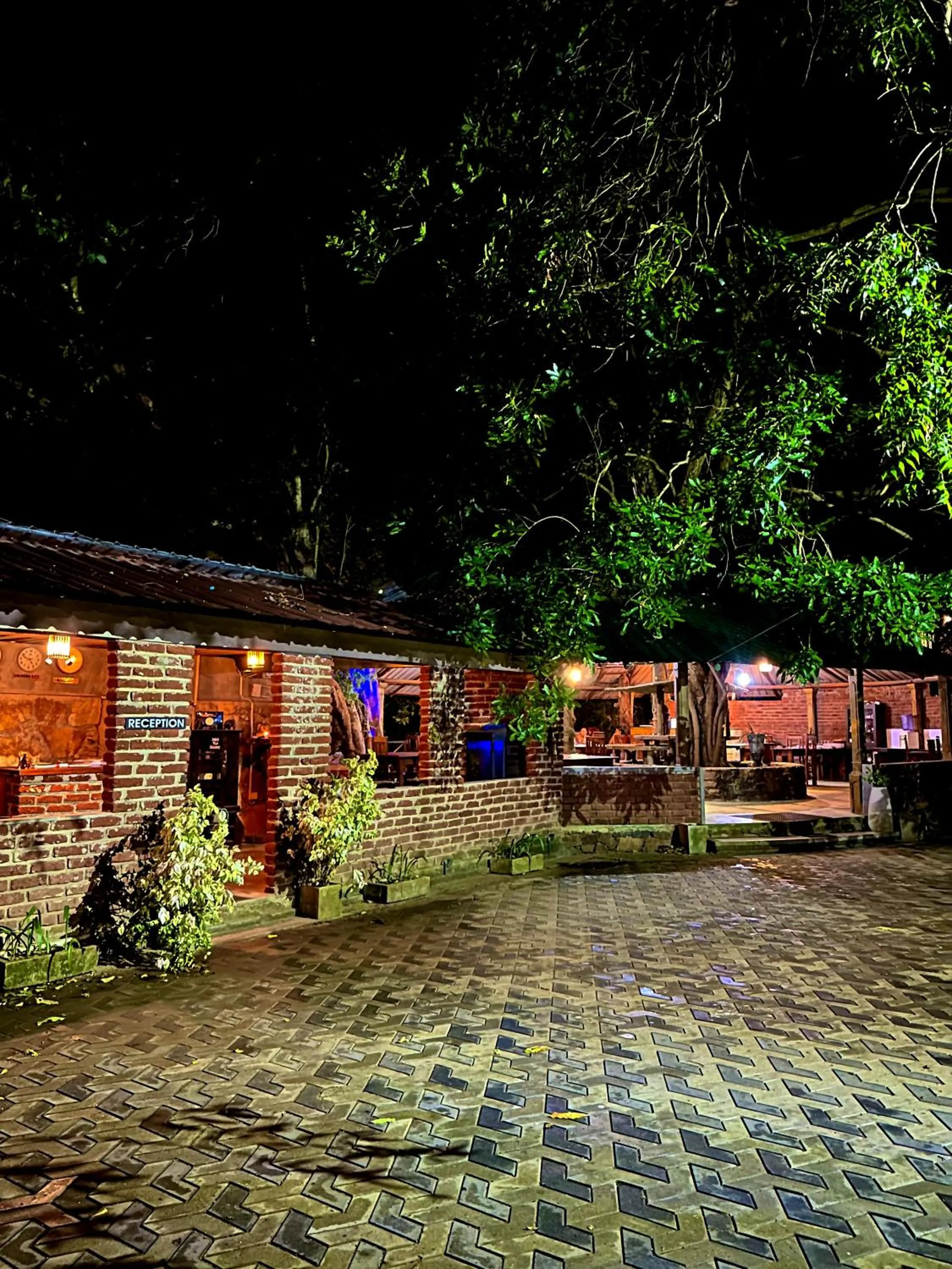 Night in Birds Paradise Inn