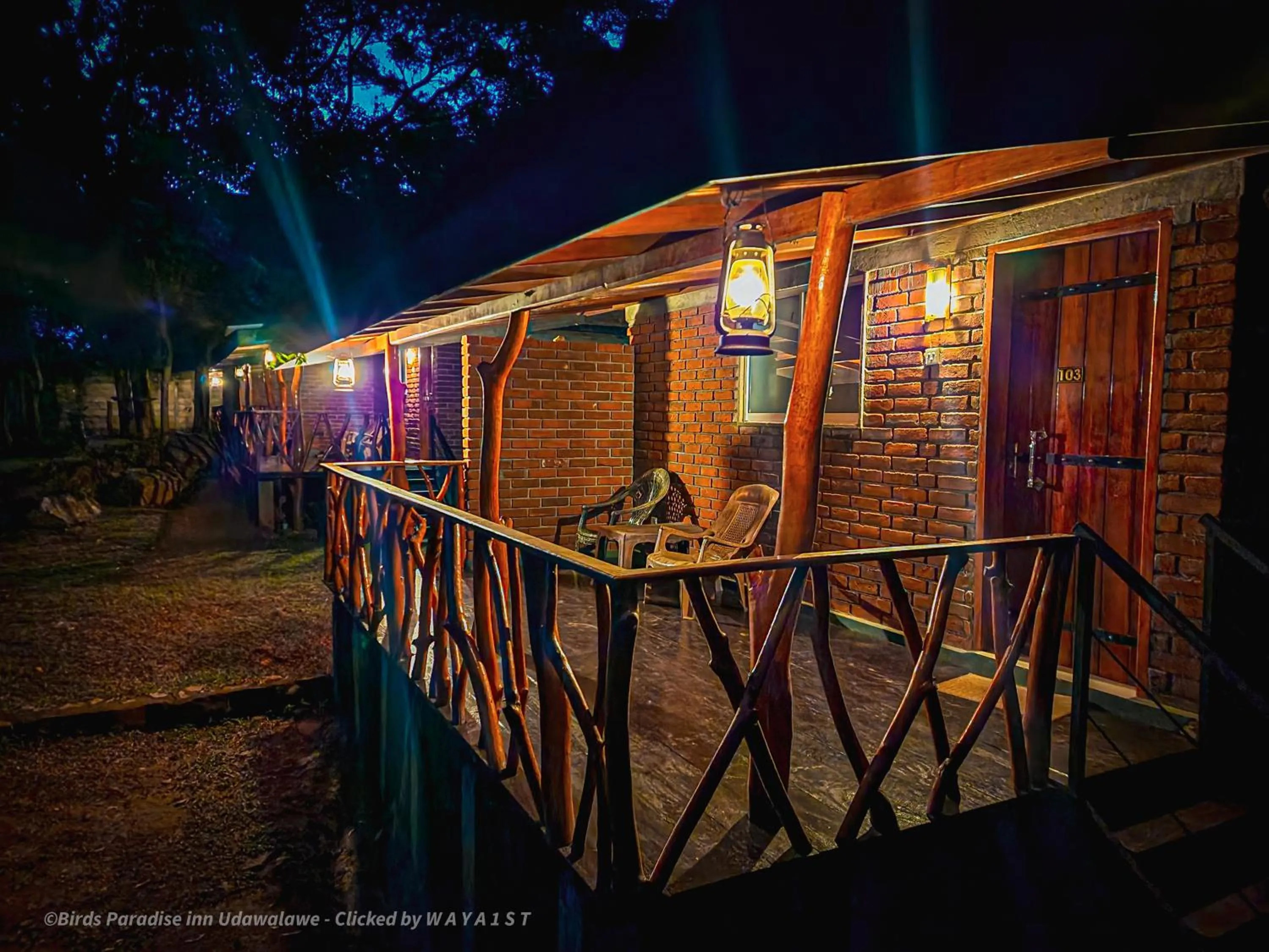 Night in Birds Paradise Inn