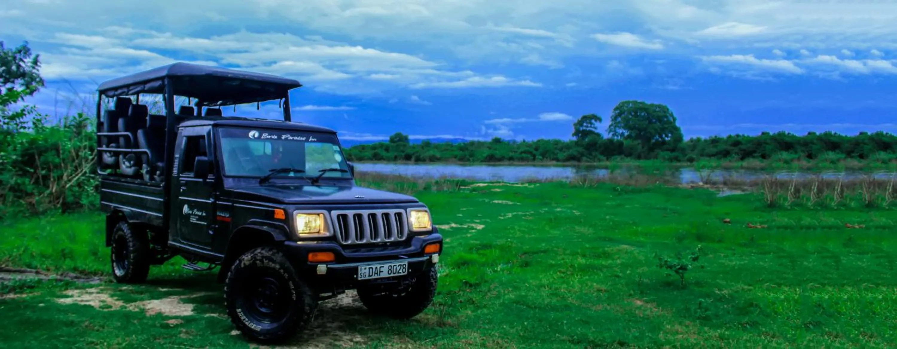 Other in Birds Paradise Inn