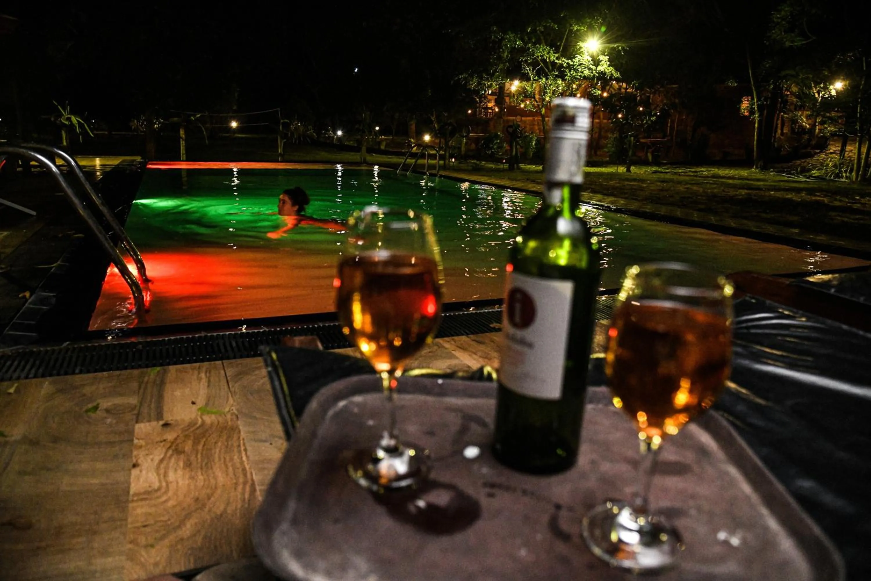 Swimming pool in Birds Paradise Inn