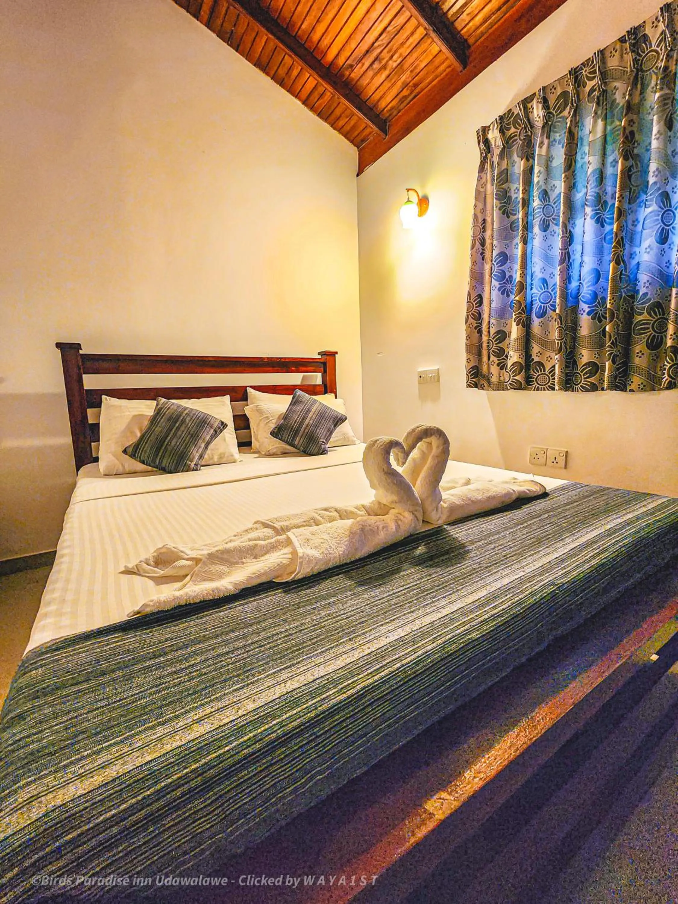 Bed in Birds Paradise Inn