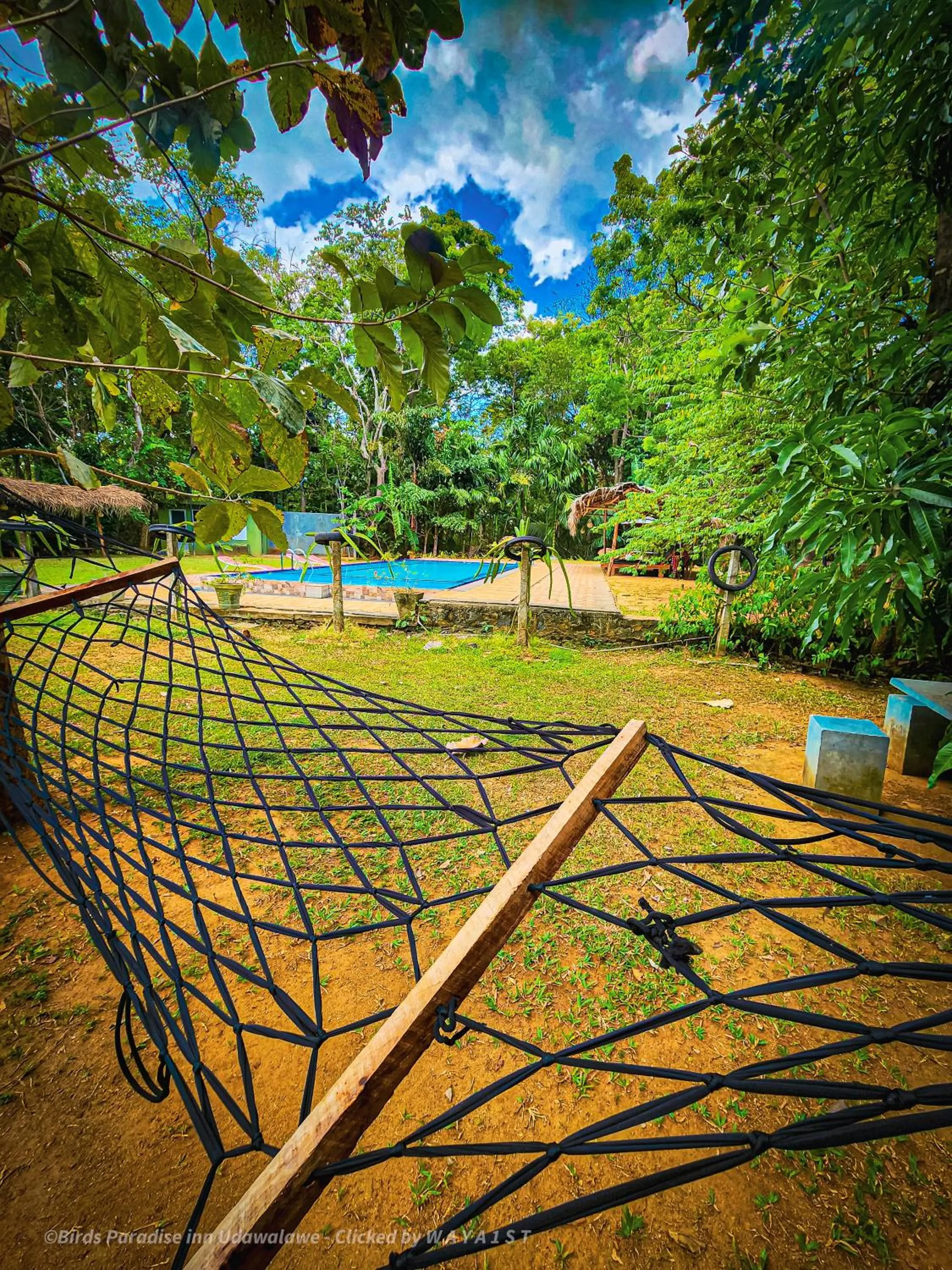 Natural landscape in Birds Paradise Inn