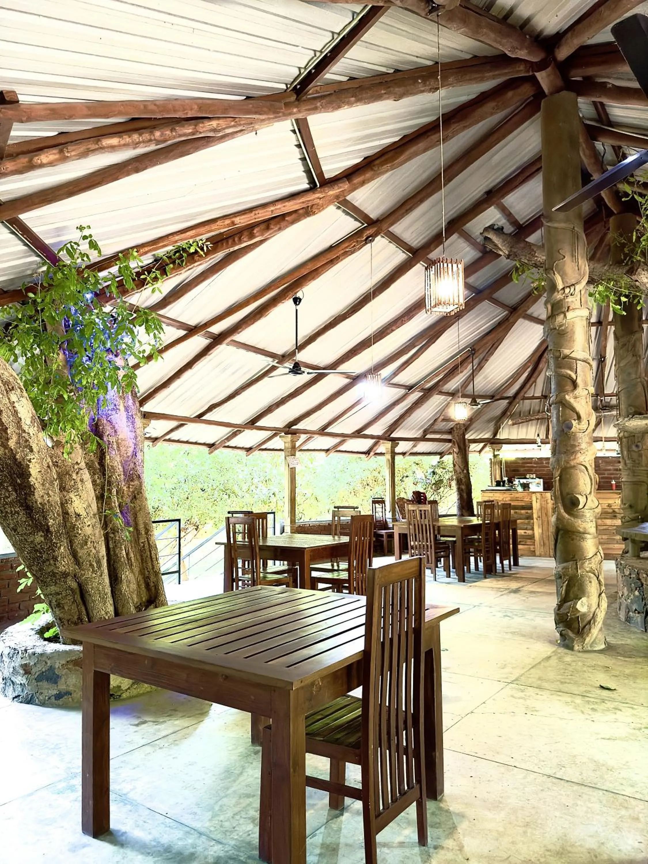 Restaurant/places to eat in Birds Paradise Inn