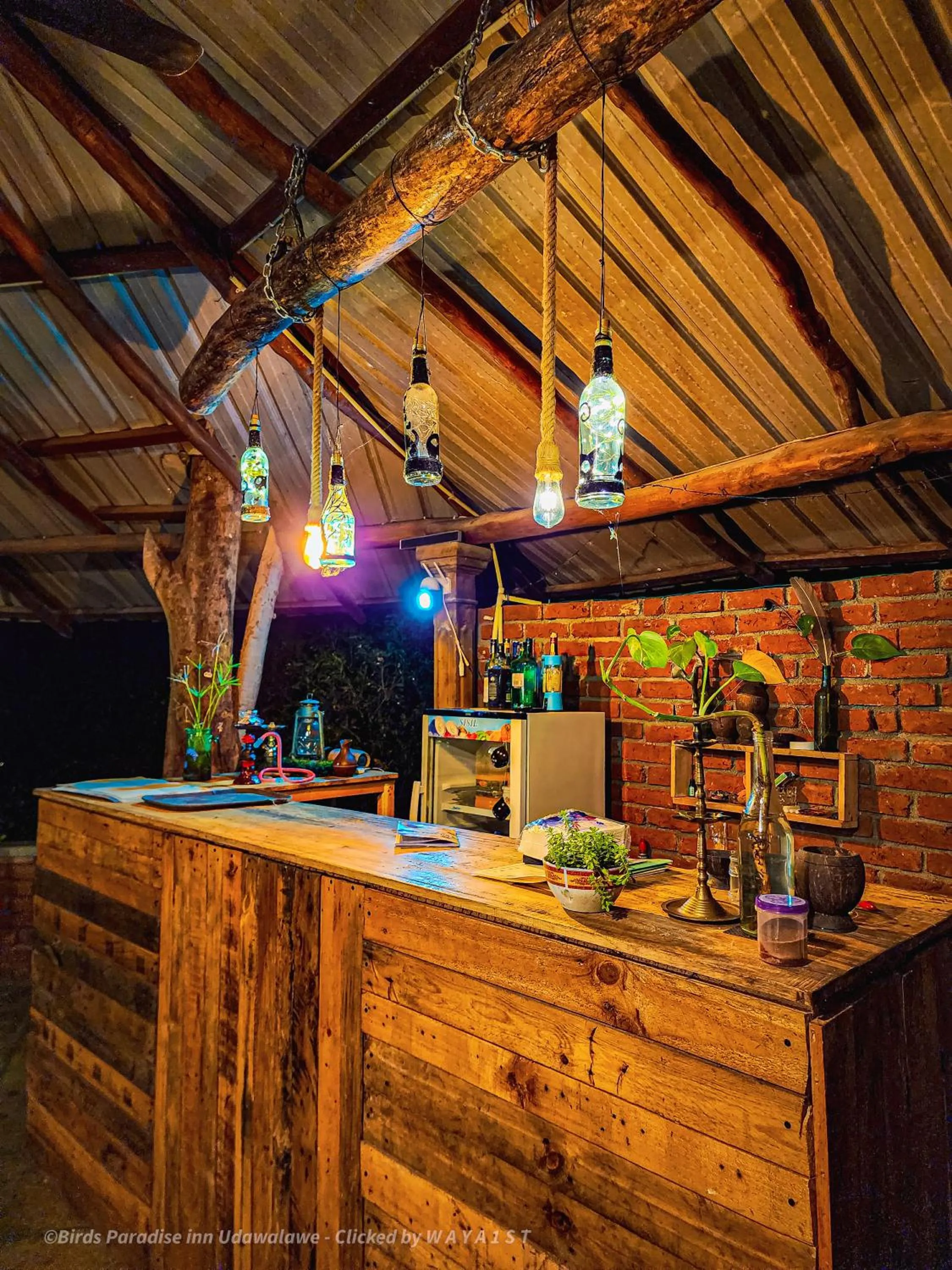 Restaurant/places to eat in Birds Paradise Inn