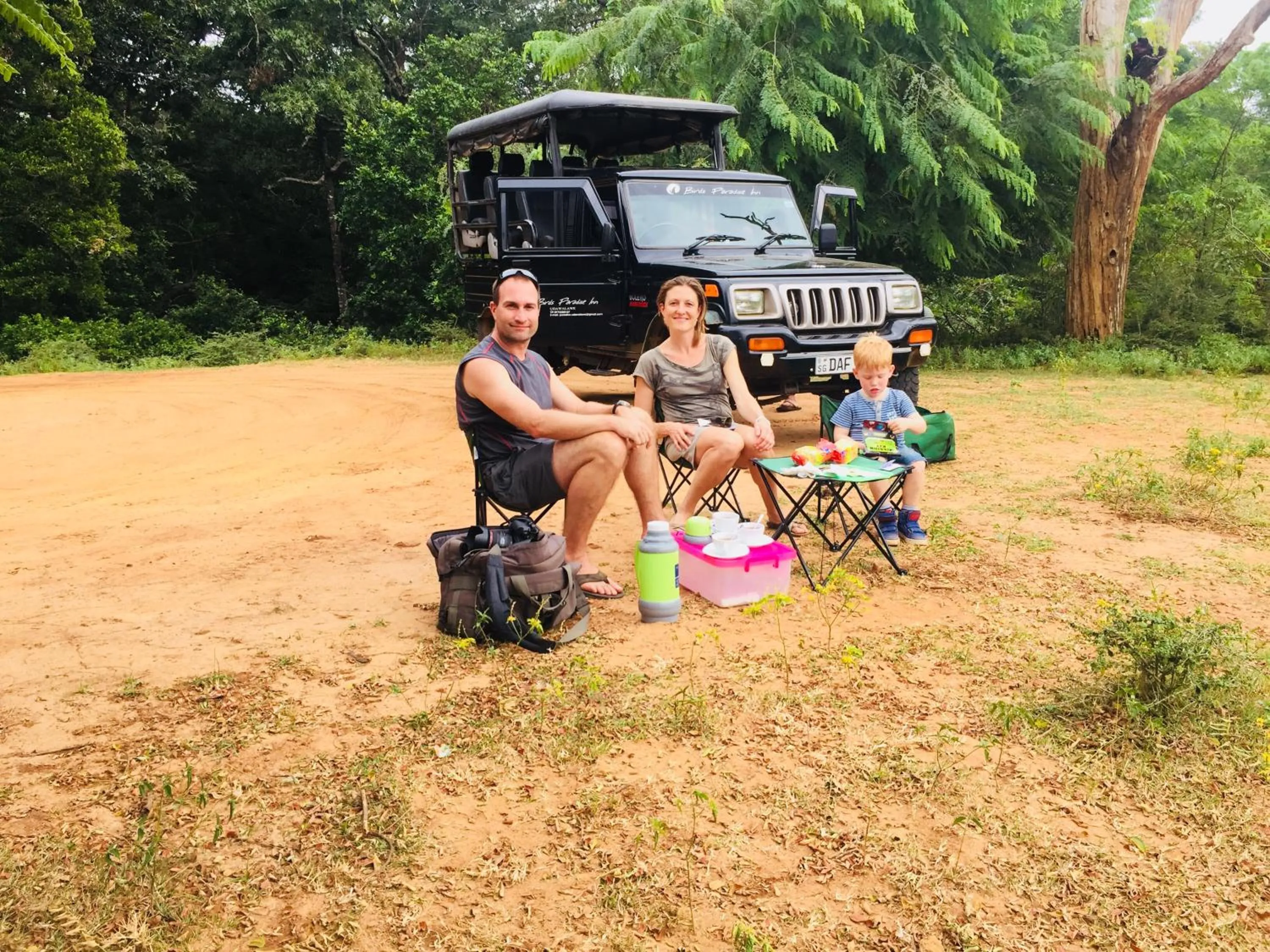 Activities in Birds Paradise Inn