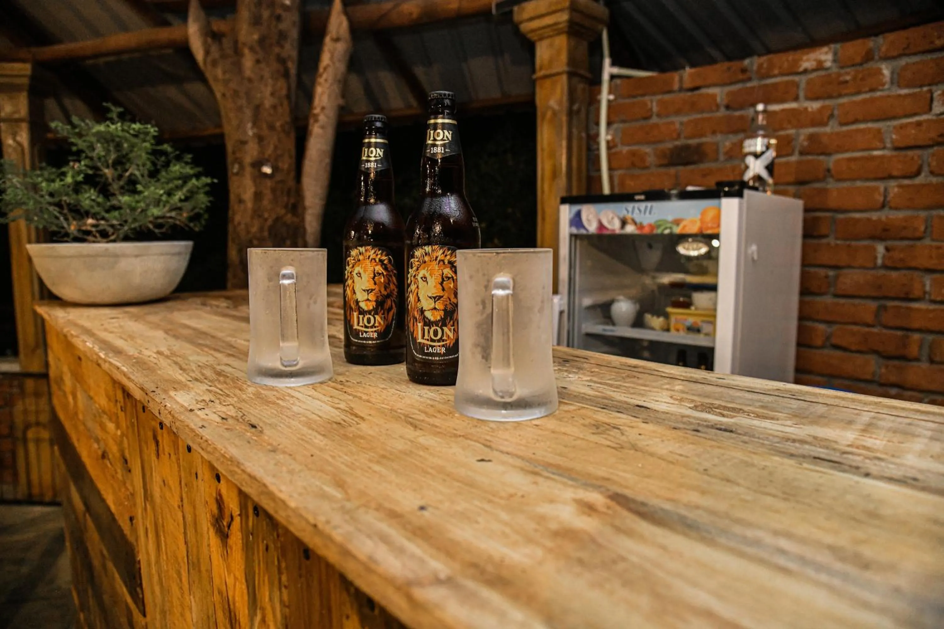 Restaurant/places to eat in Birds Paradise Inn