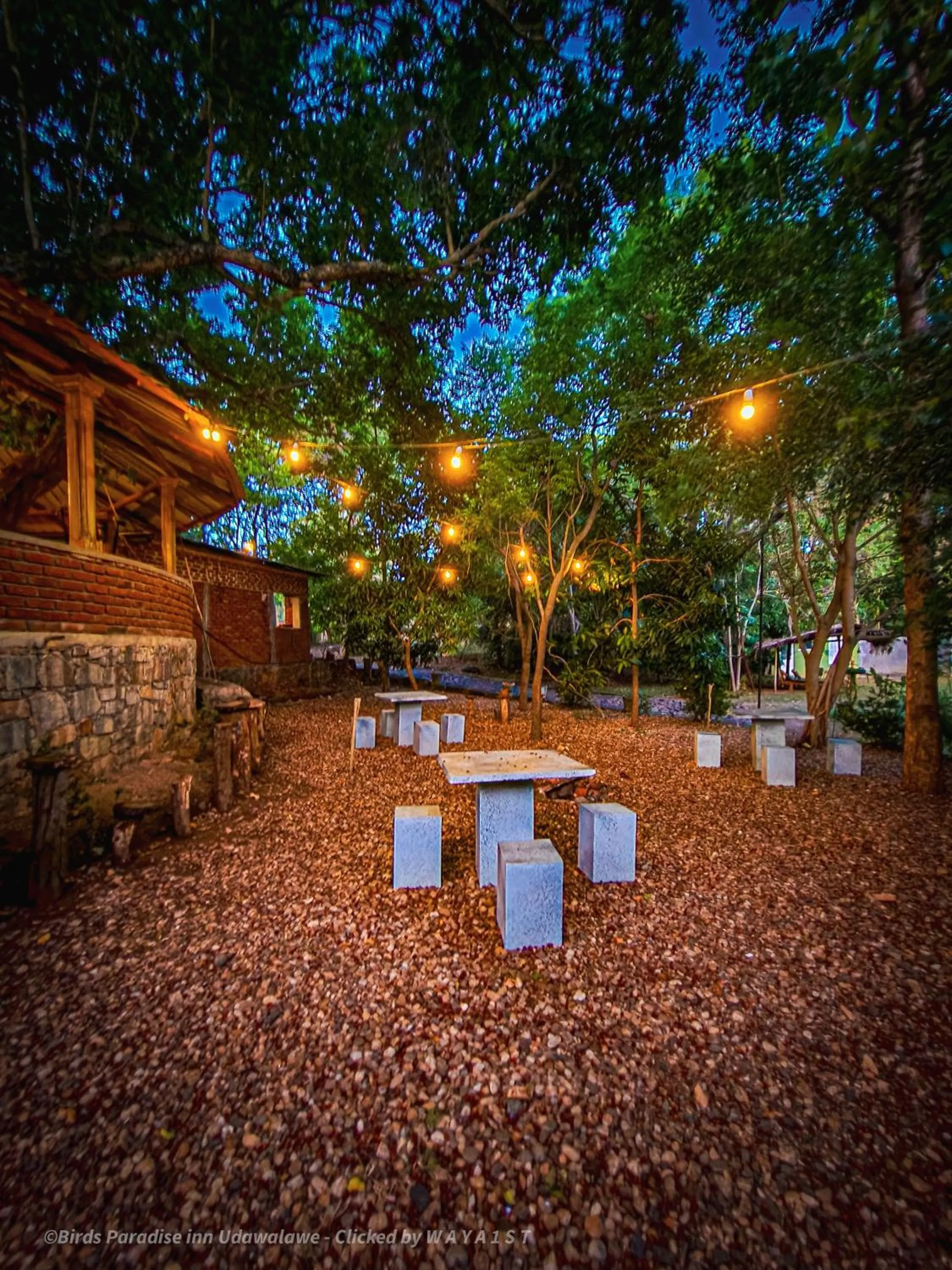 Restaurant/places to eat in Birds Paradise Inn