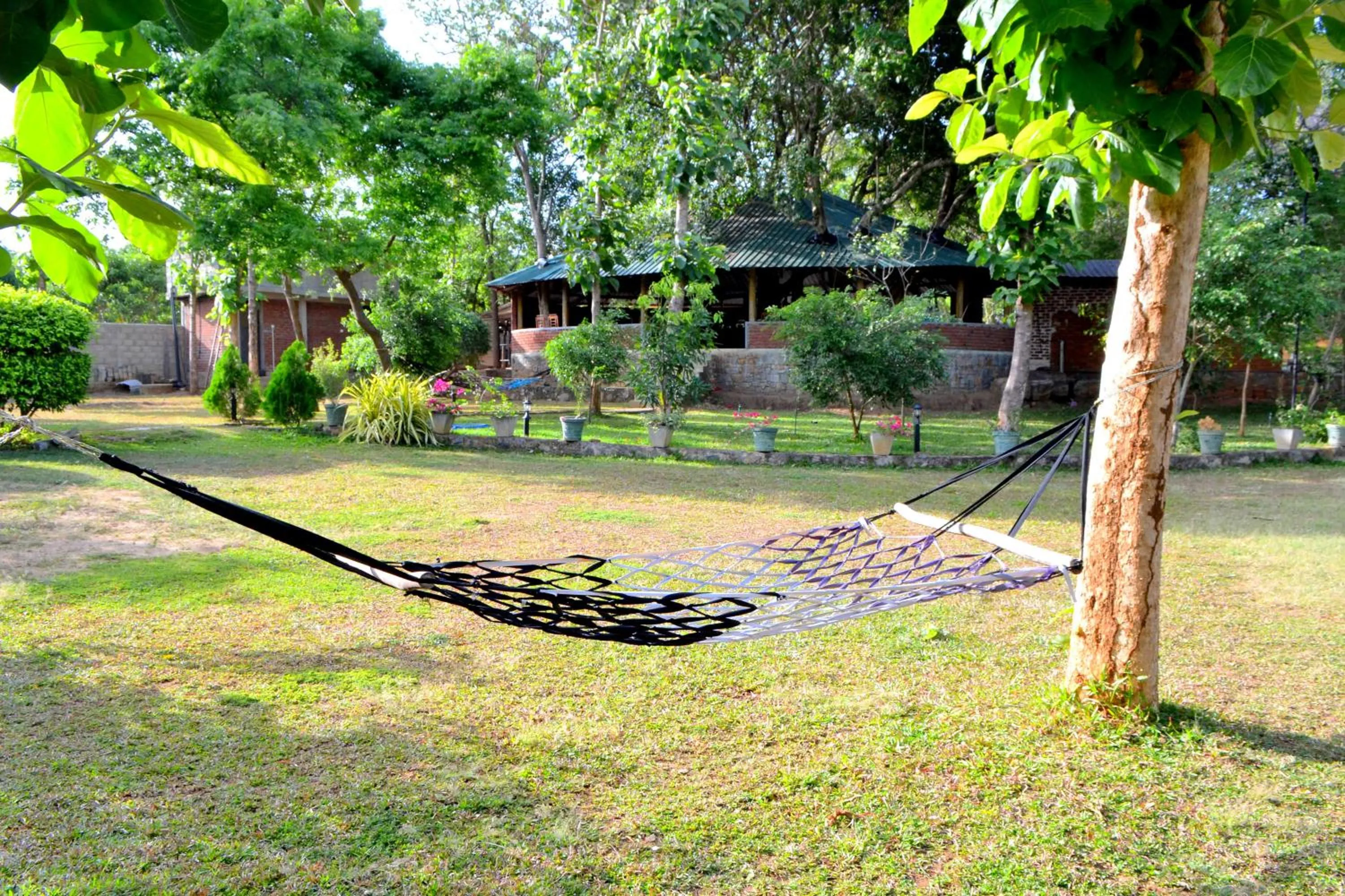 Property building in Birds Paradise Inn