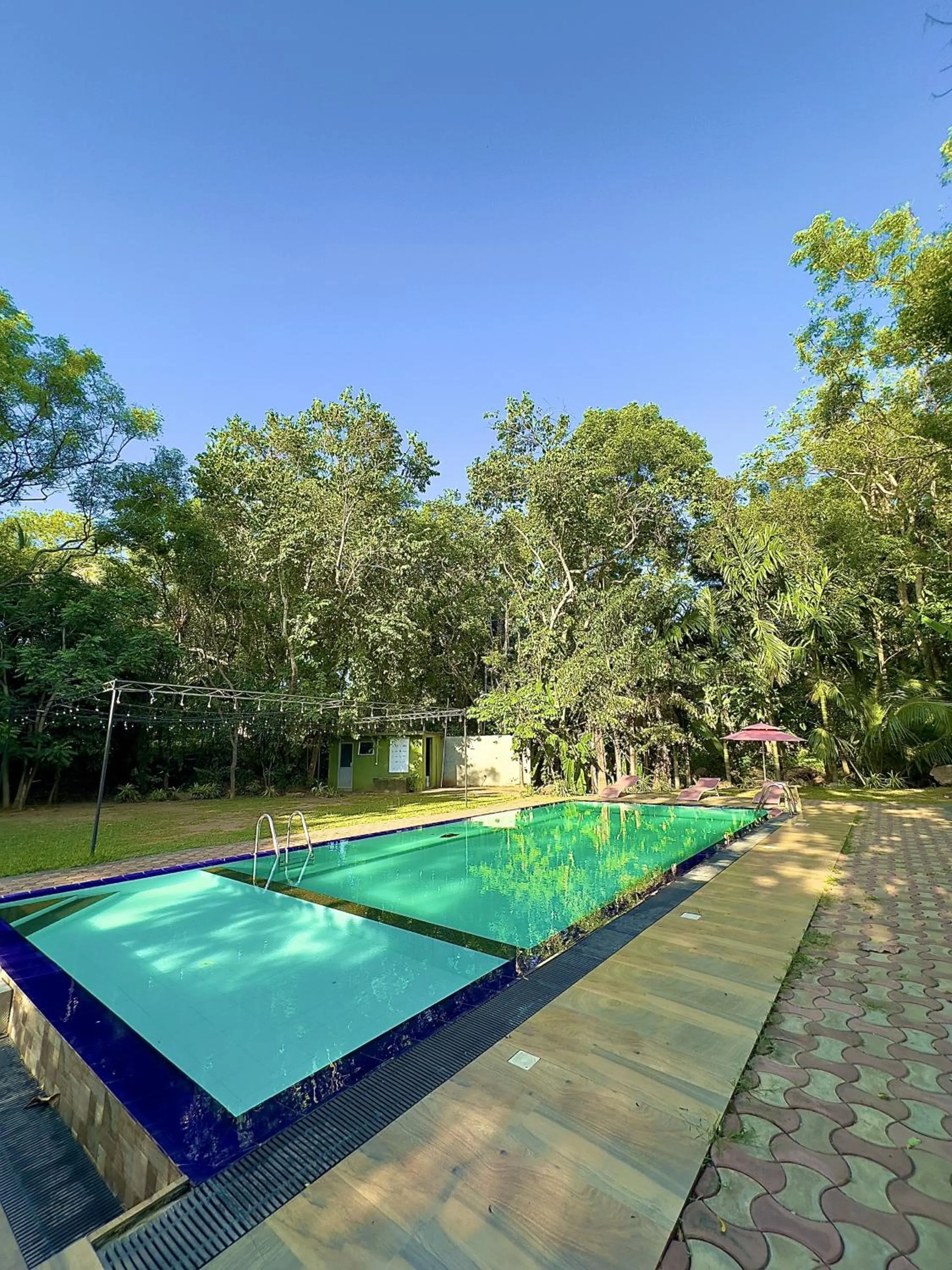 Day in Birds Paradise Inn