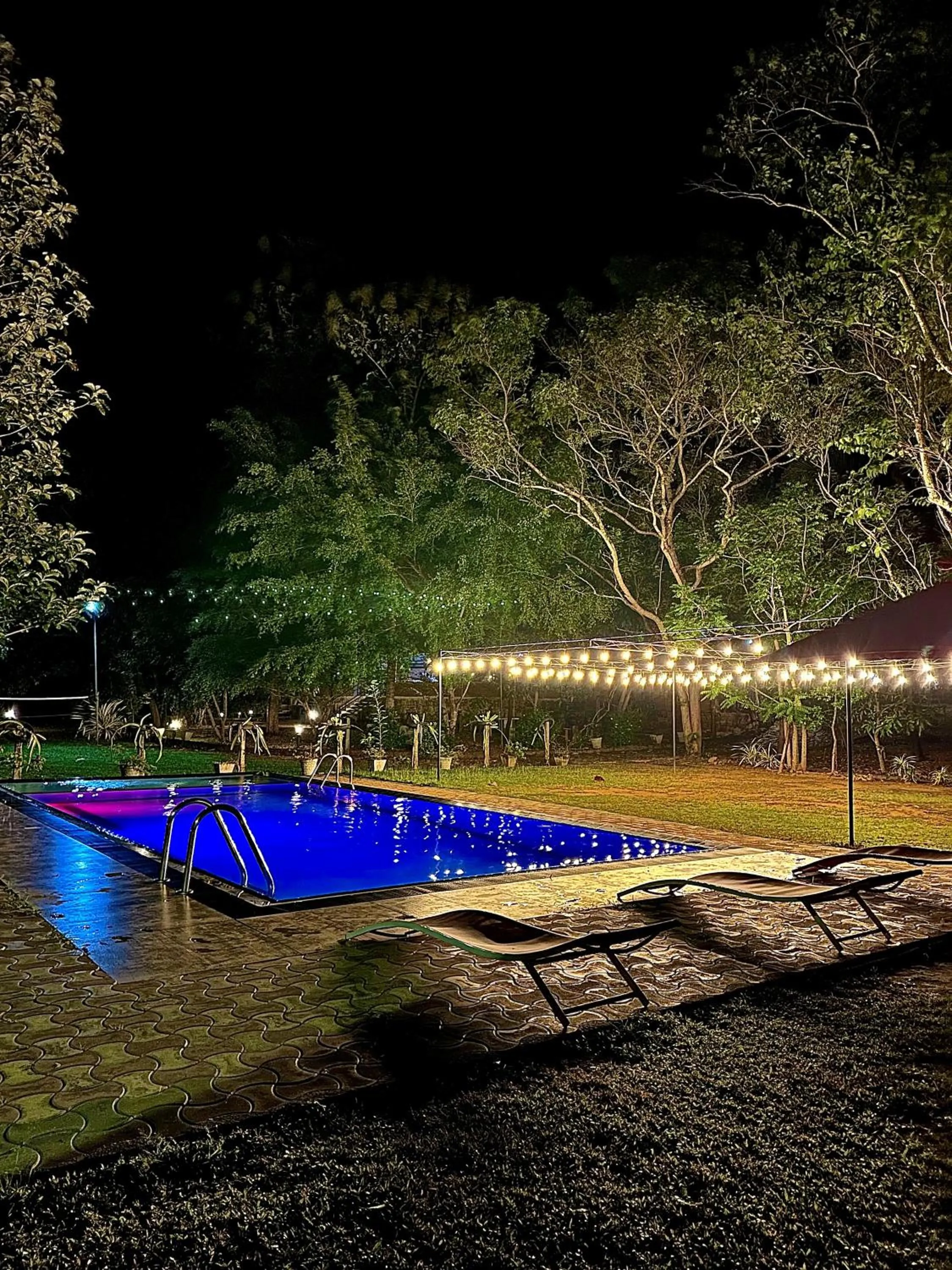 Swimming pool in Birds Paradise Inn