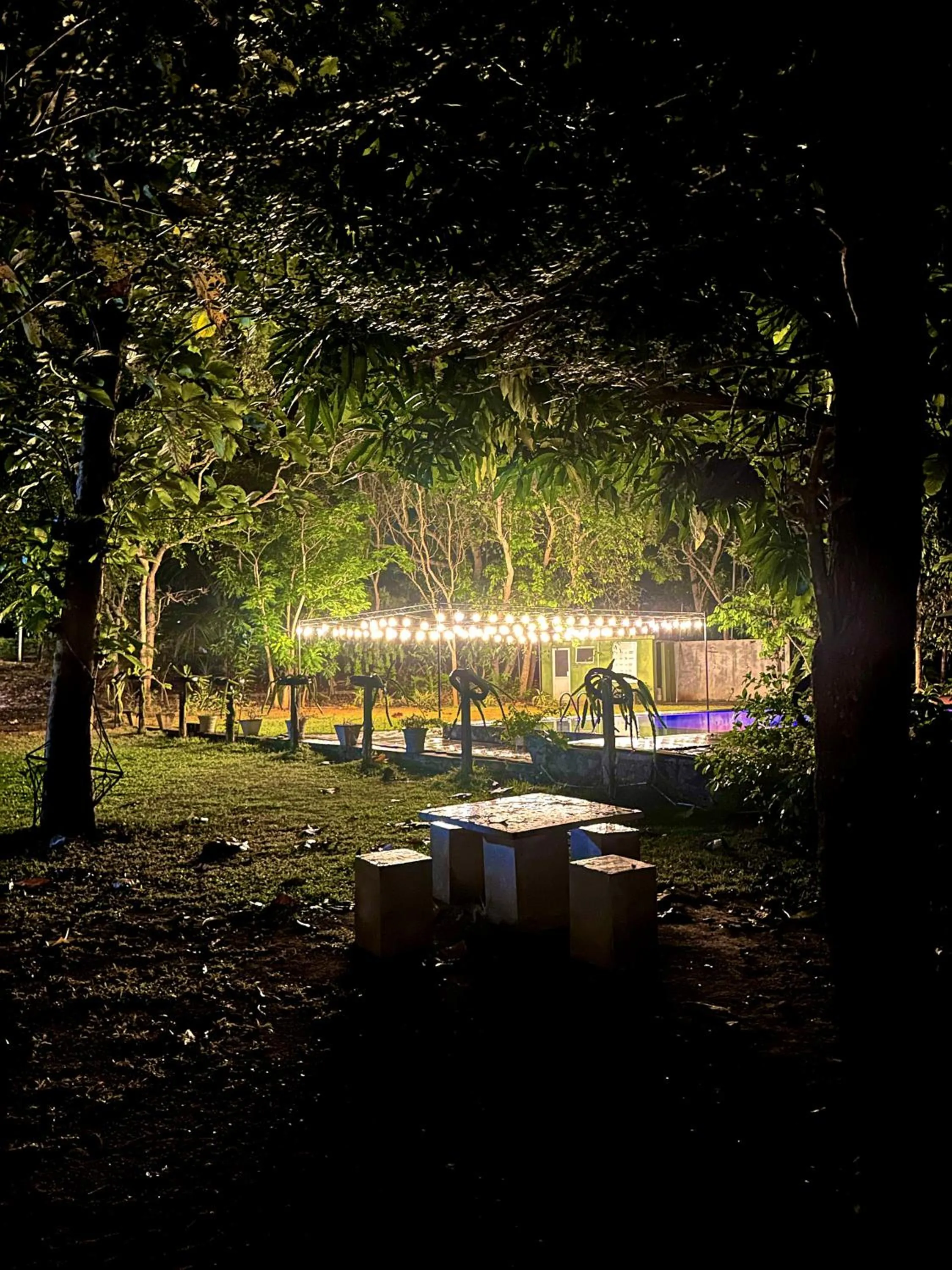 Garden view in Birds Paradise Inn