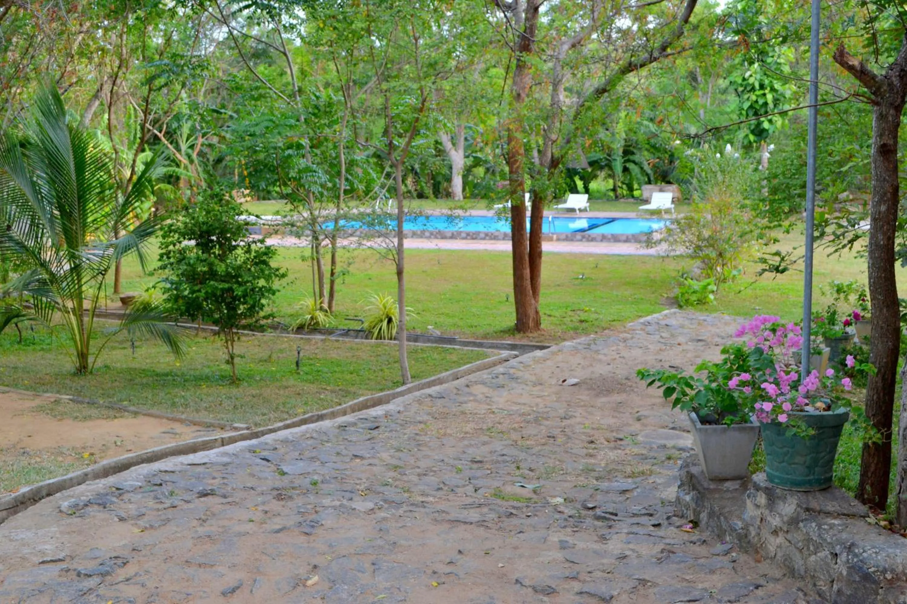 Property building in Birds Paradise Inn