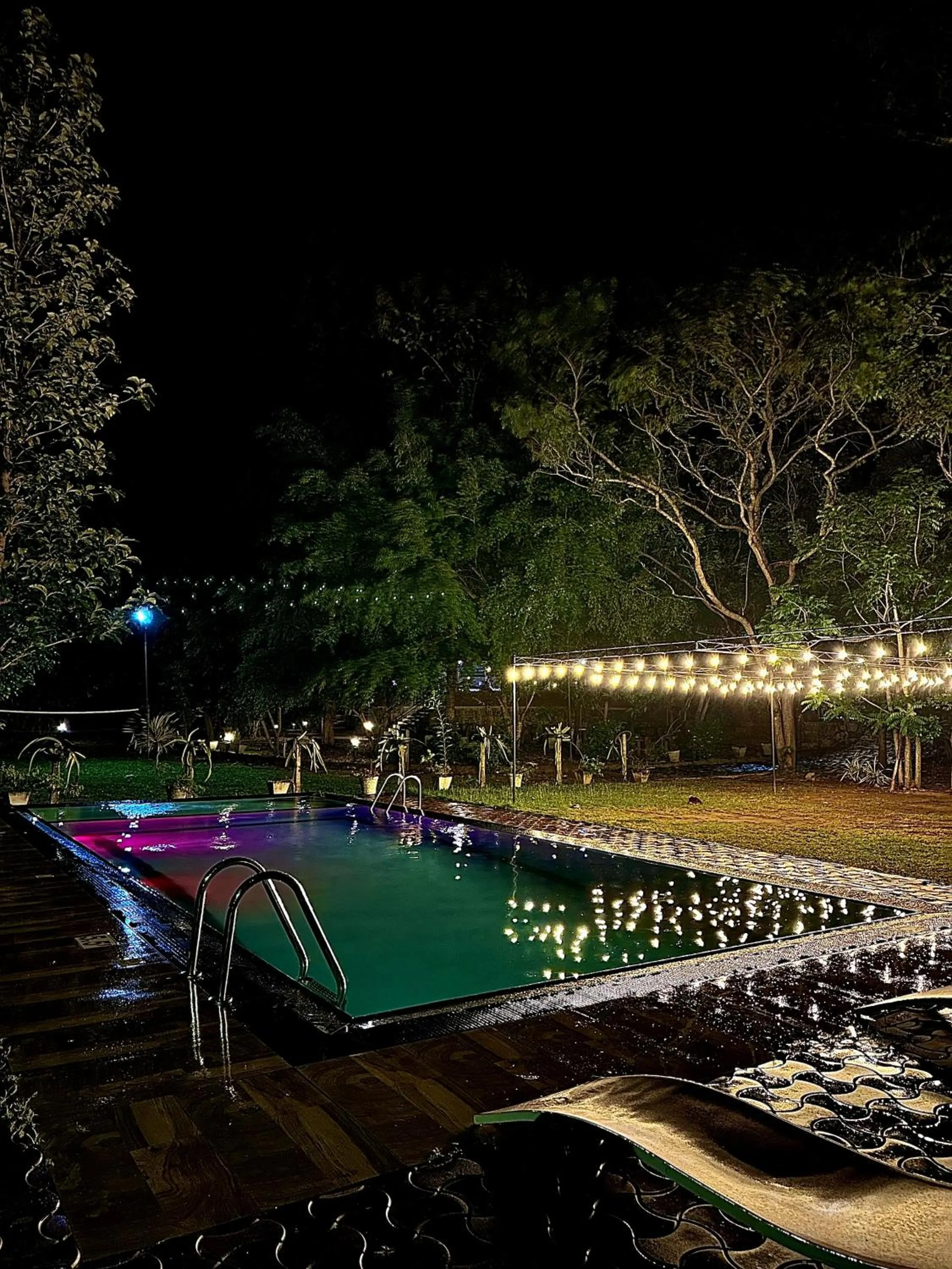 Swimming pool in Birds Paradise Inn