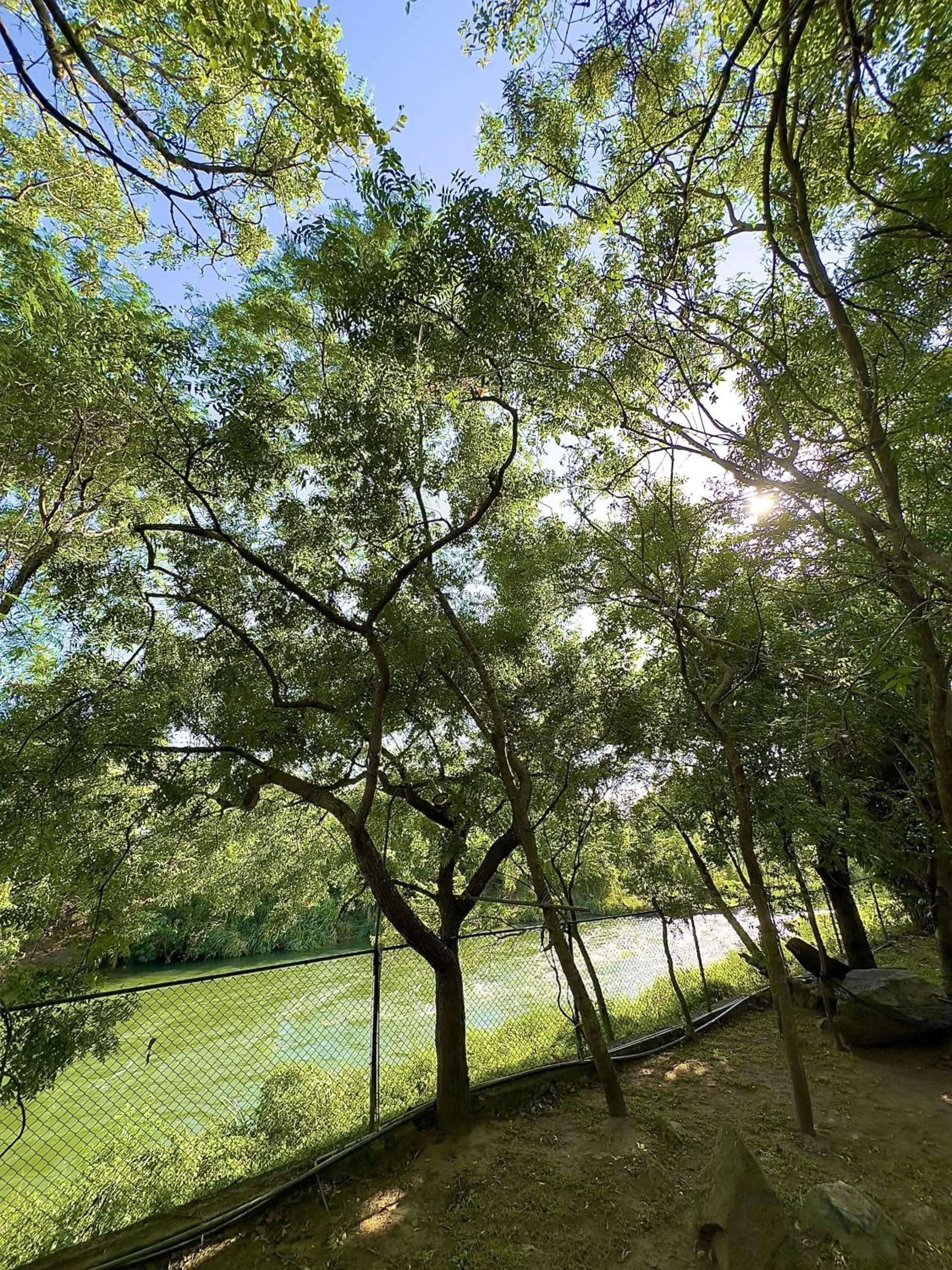 Garden view in Birds Paradise Inn