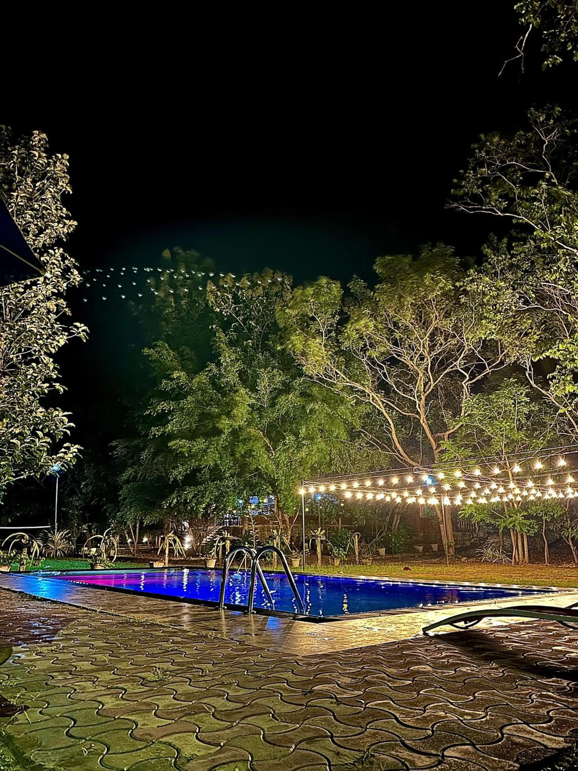 Pool view in Birds Paradise Inn