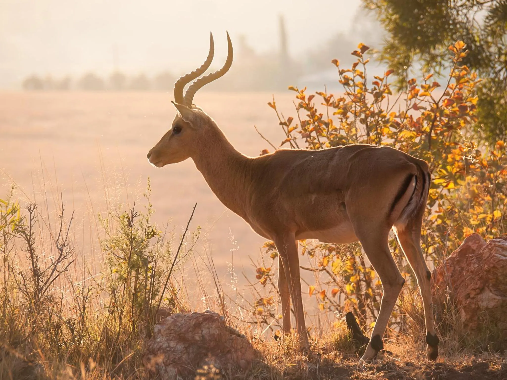 Natural landscape in Kloofzicht Lodge & Spa
